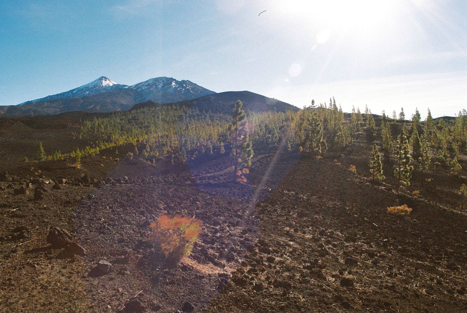 Volcanic landscape with scattered vegetation and mountains in background.