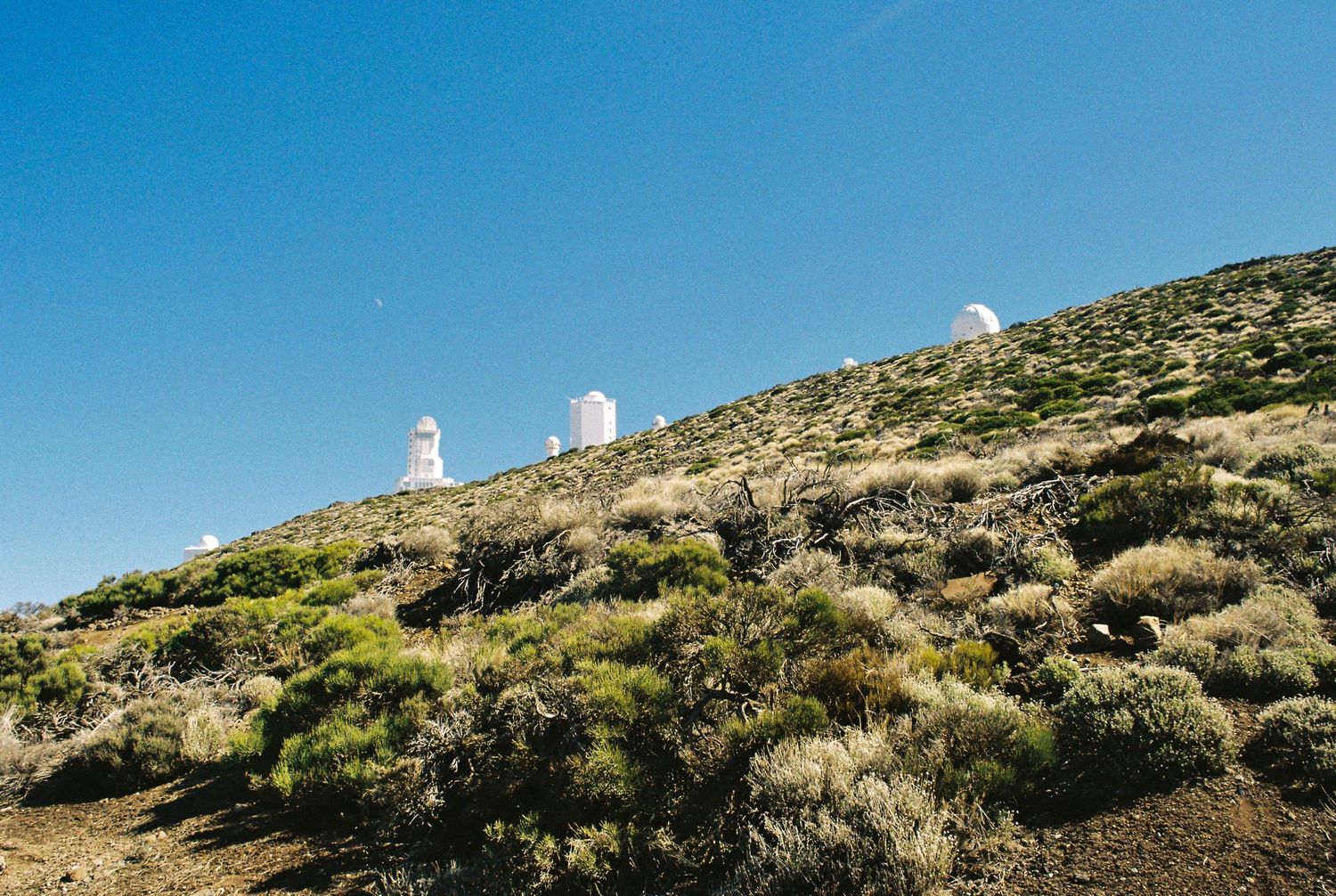 White observatory domes perched on a rocky mountain ridge against a bright blue sky.
