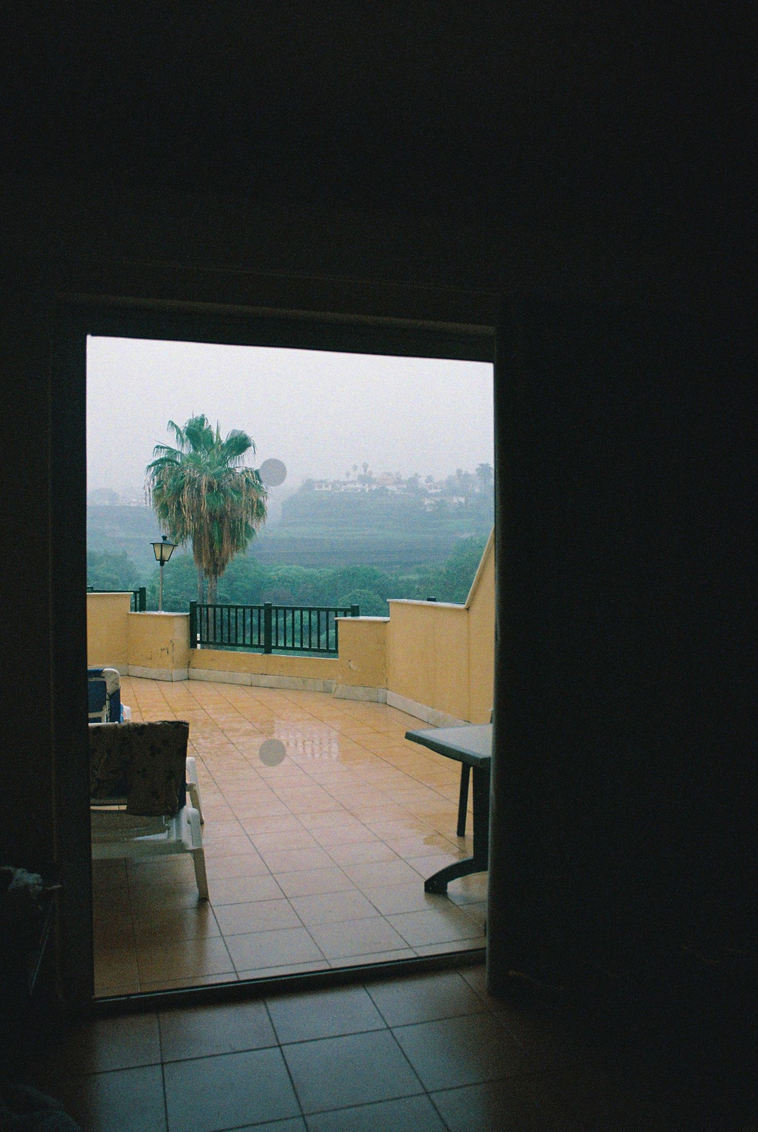 View through doorway to sunny terrace with palm trees visible in distance.