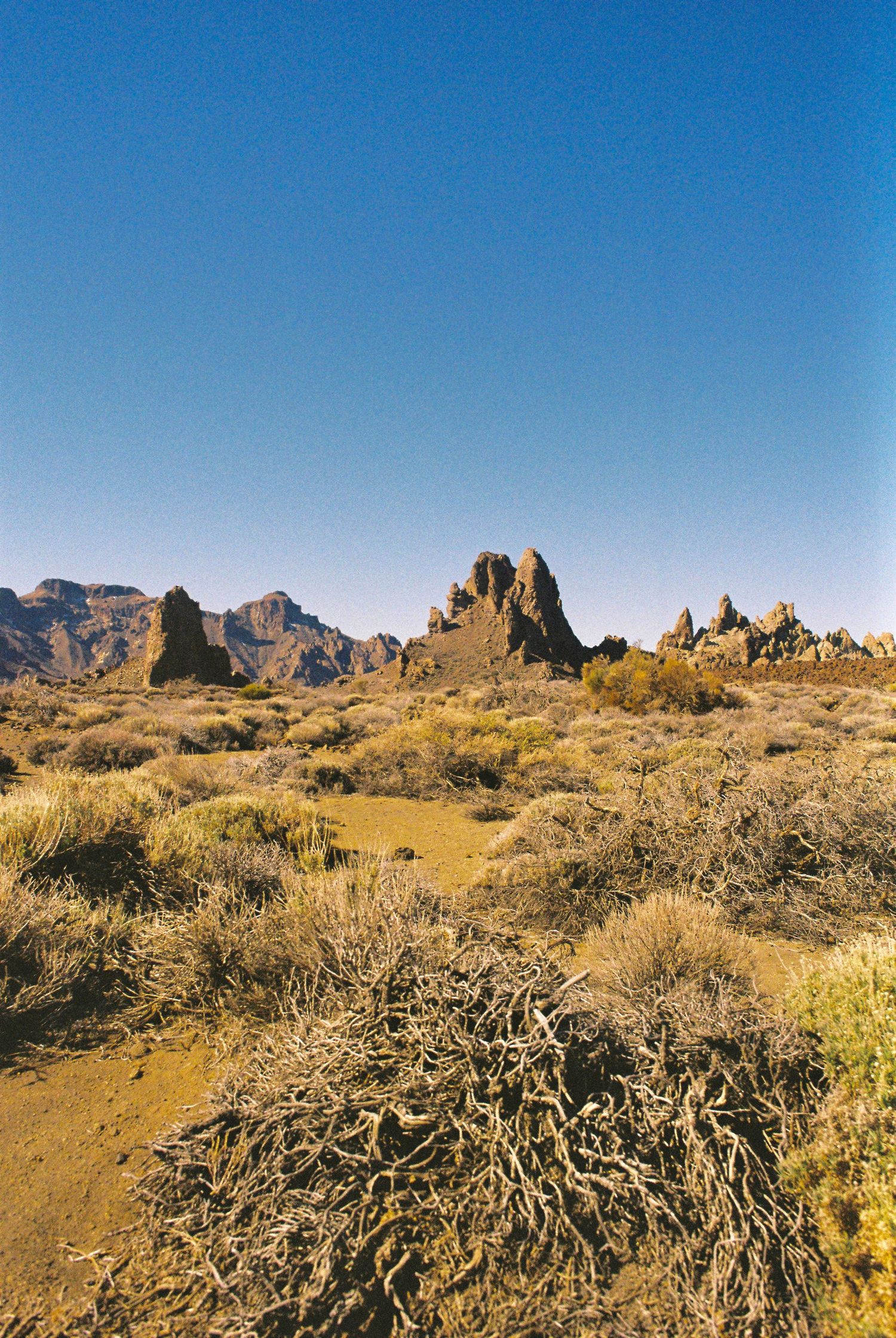 Rocky desert terrain with scattered brush and mountains in the distance against a clear blue sky.