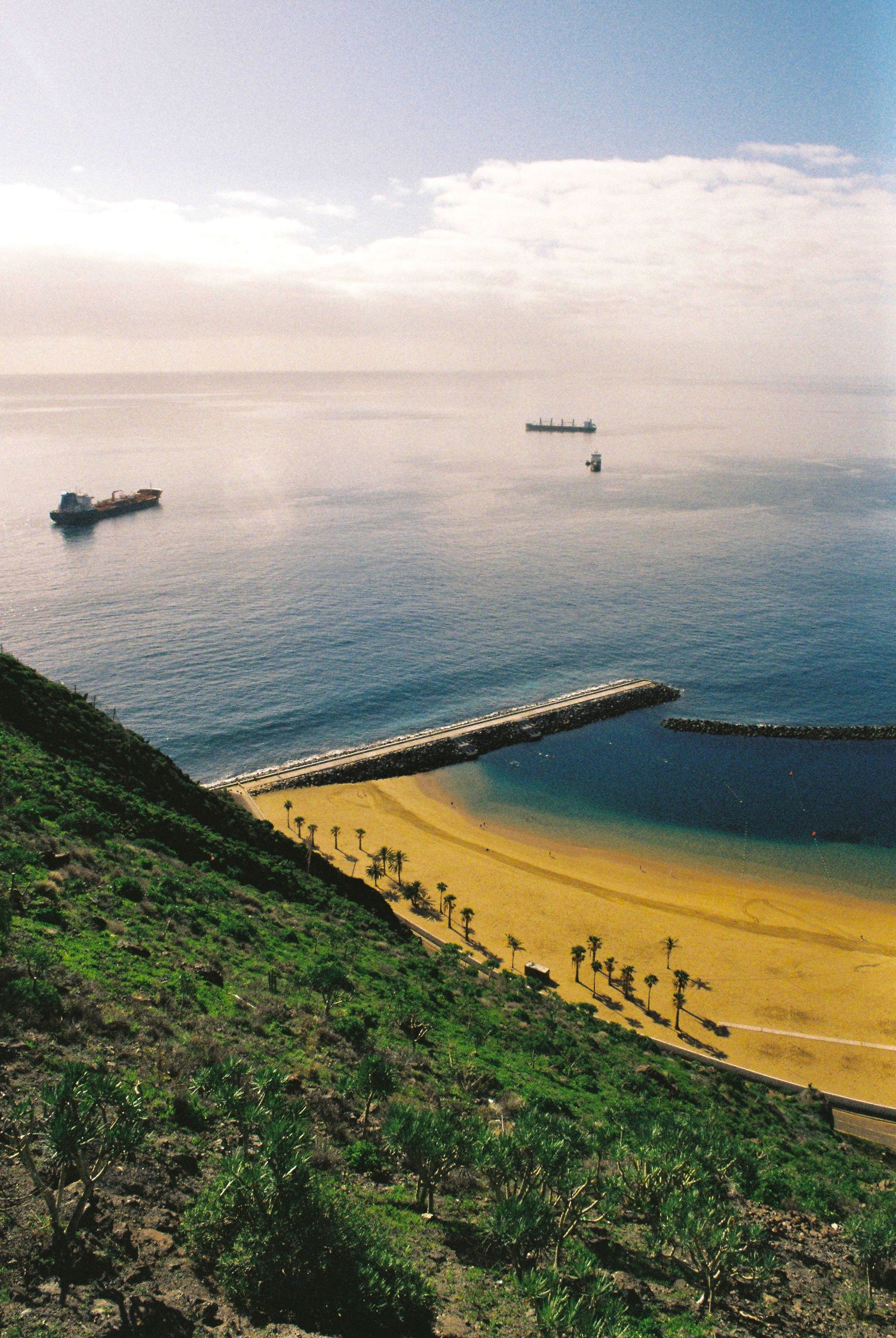 Aerial view of a crescent-shaped beach with palm trees and ships dotting the calm ocean waters.