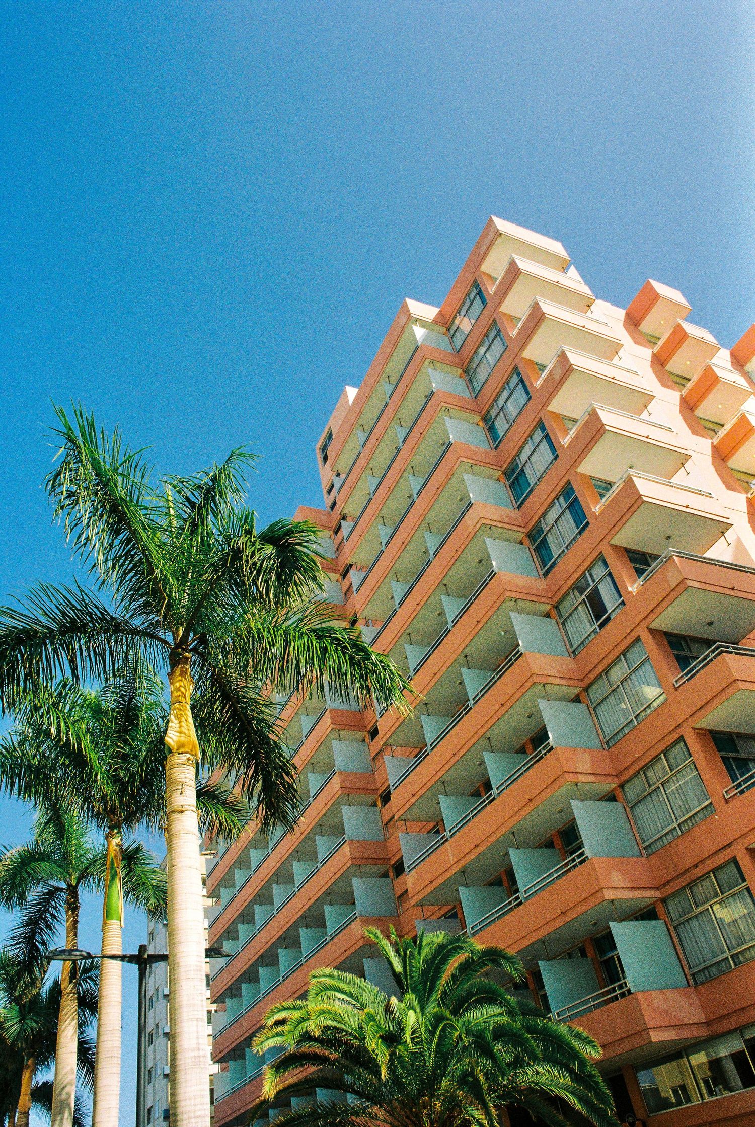 A modern coral-colored hotel building with zigzag balconies rises against blue sky, framed by tropical palm trees.