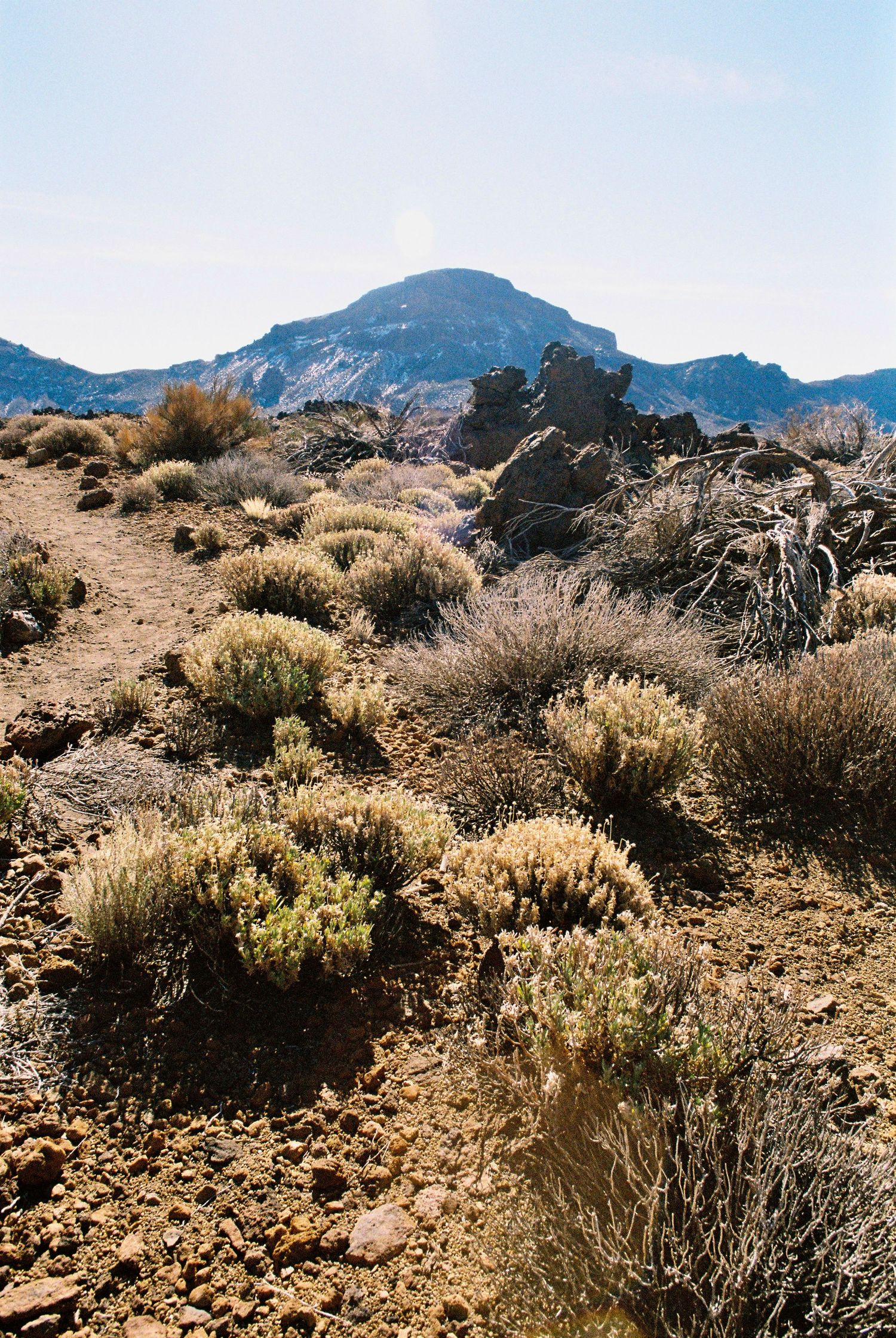 Desert mountain landscape with dry brush and rocky terrain stretching into the distance.
