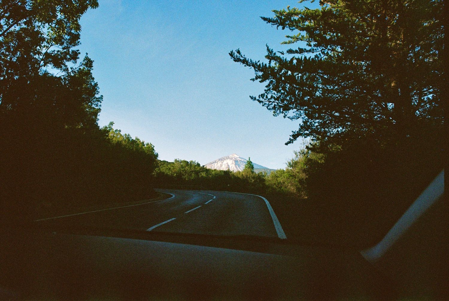 View of a snowy mountain peak through car windshield and tree-lined road.