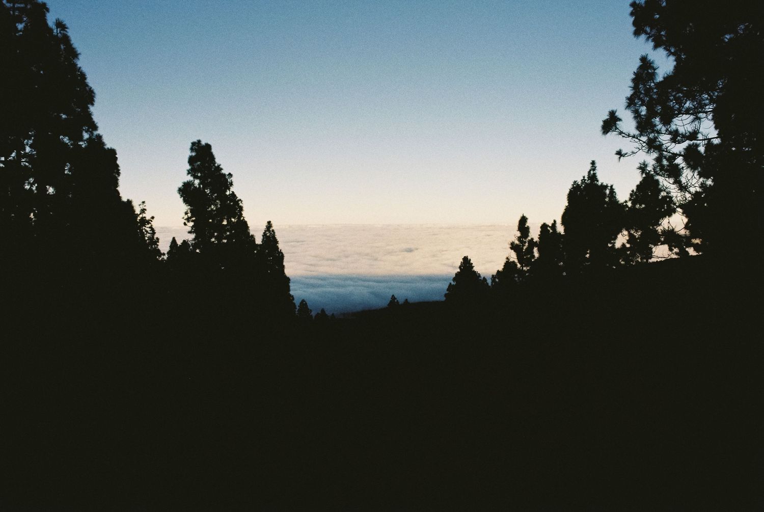 Silhouetted trees line the horizon against a fading dusk sky.