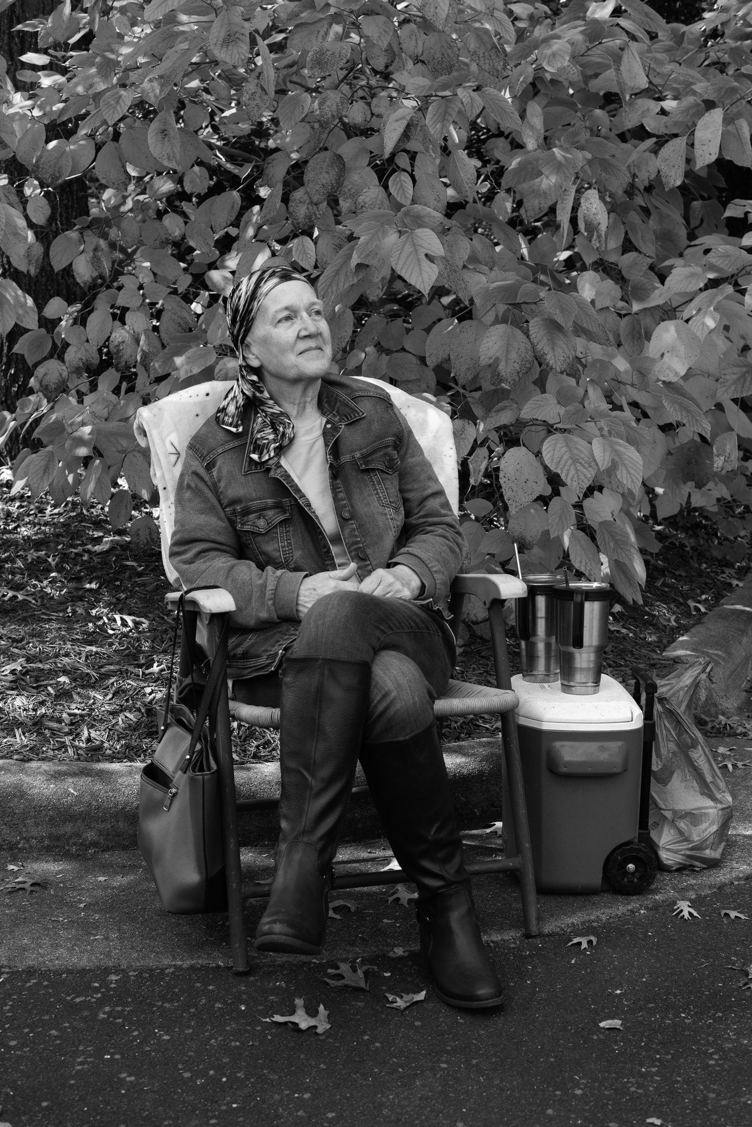 Person relaxing on bench surrounded by autumn foliage in black and white sequence.