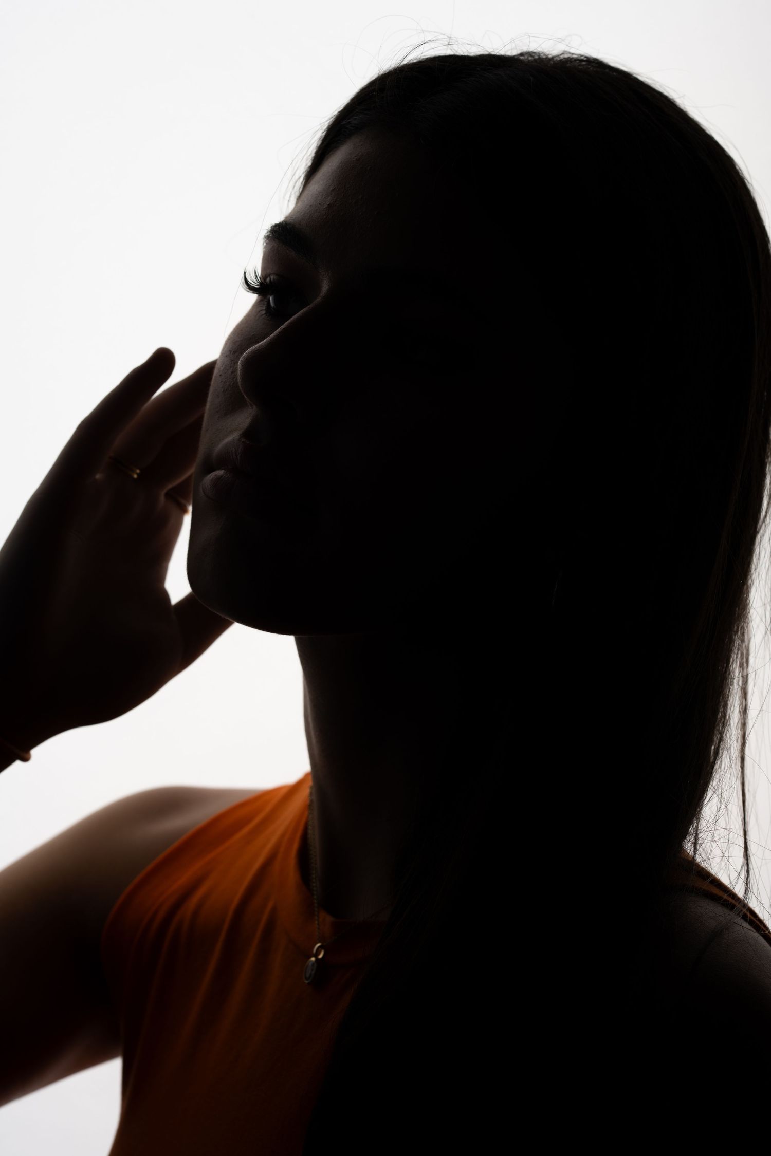 Artistic silhouette profile portraits against bright background.
