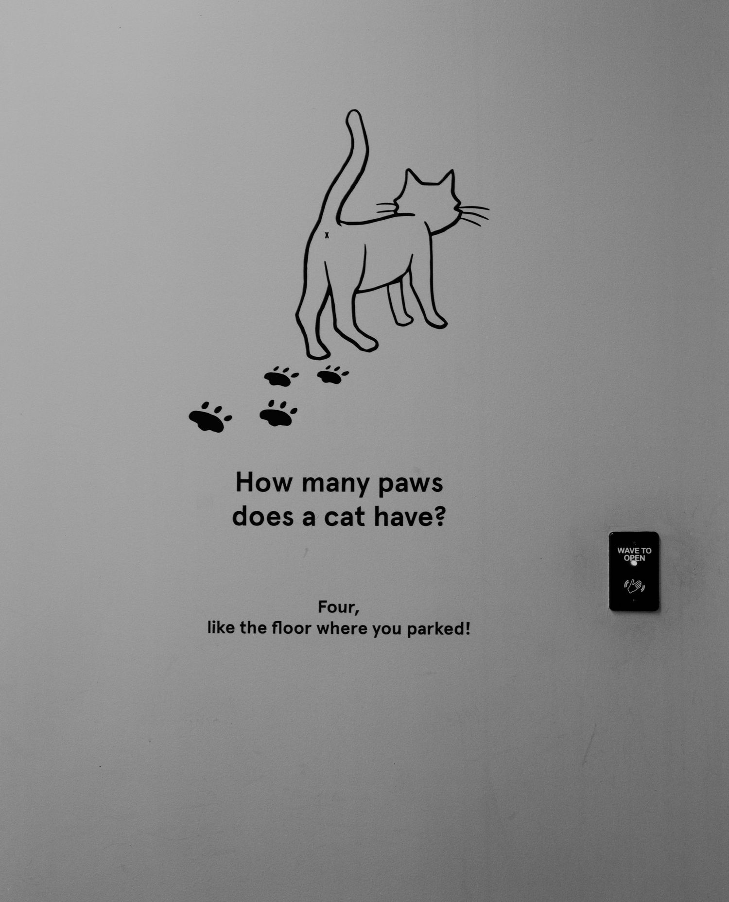 Simple line drawings showing a cat silhouette and paw prints with text asking how many paws a cat has.