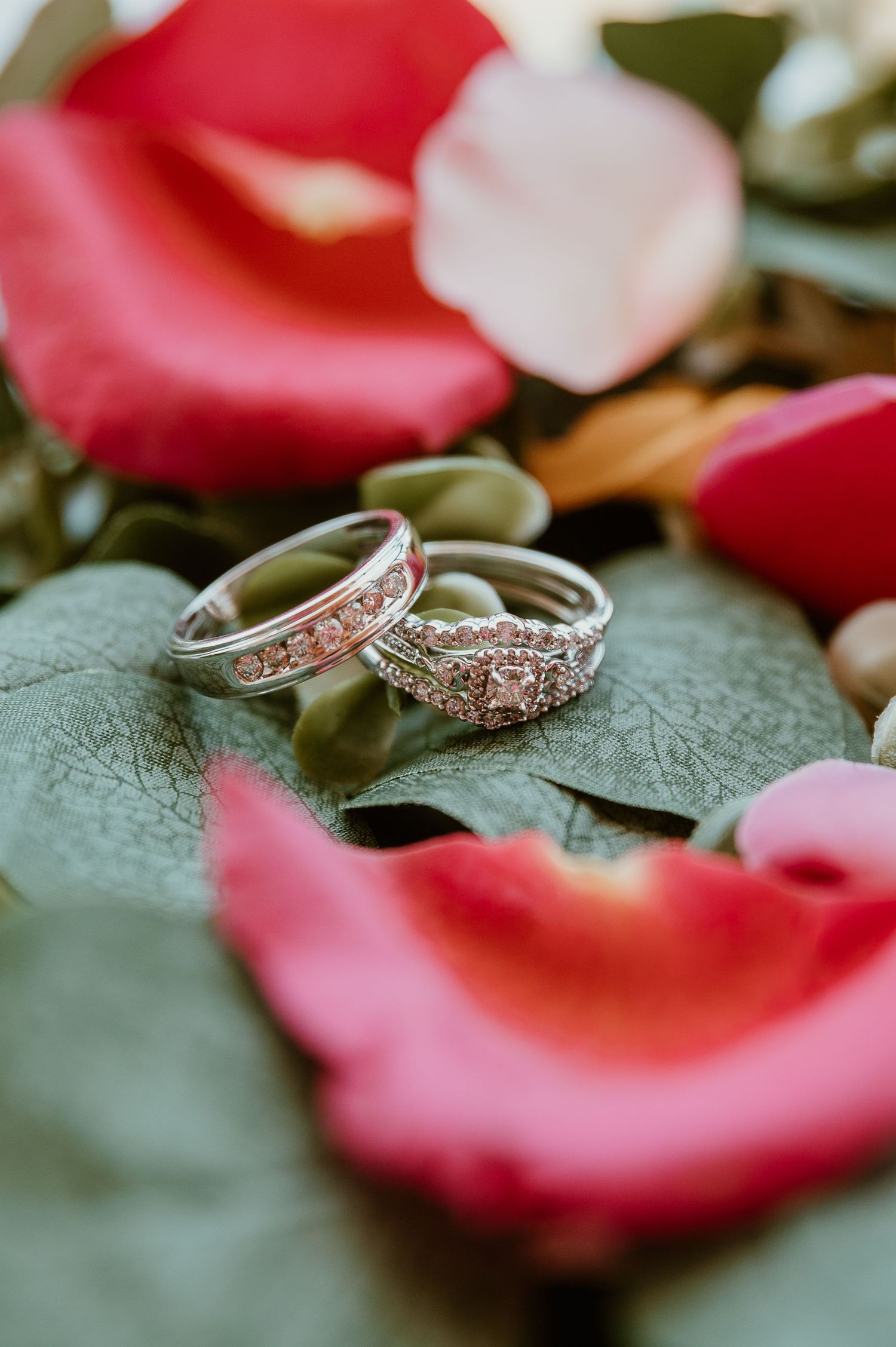 Wedding rings nestled among red rose petals and green leaves in a romantic macro shot.