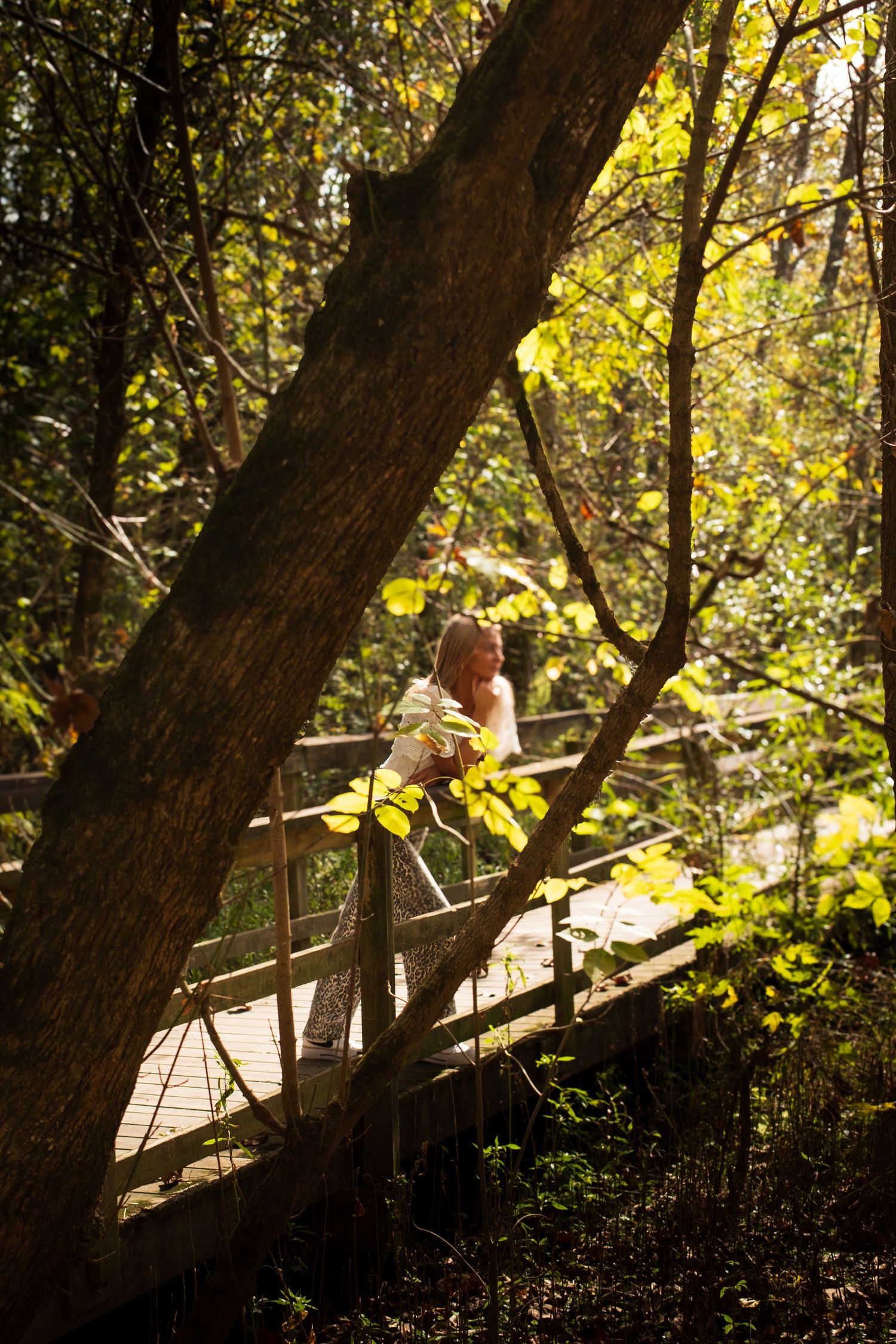 A wooden footbridge winds through a sunlit forest with golden autumn foliage and dappled light filtering through the trees.