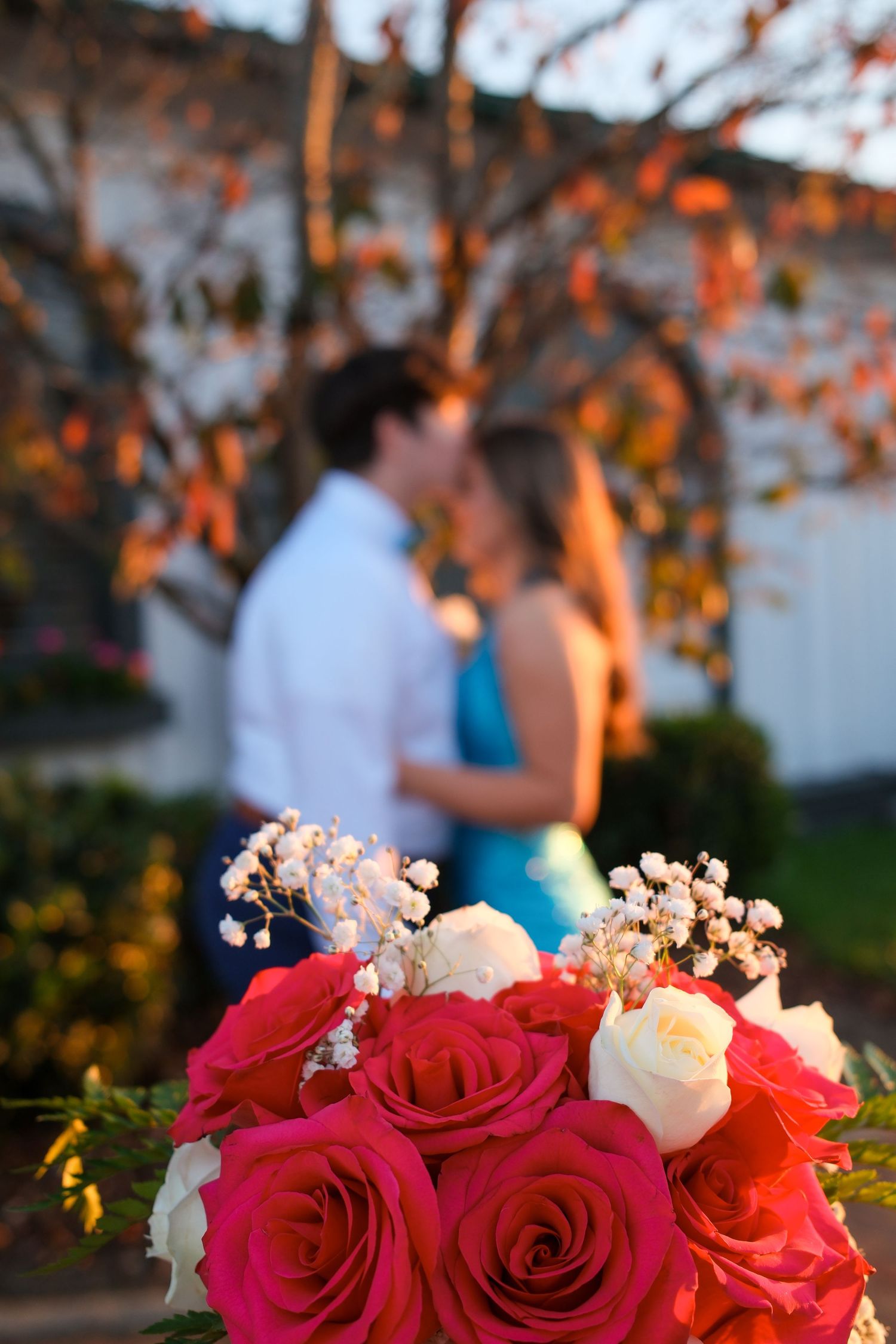 Beautiful pink and red roses in a bouquet against a blurred sunset background.