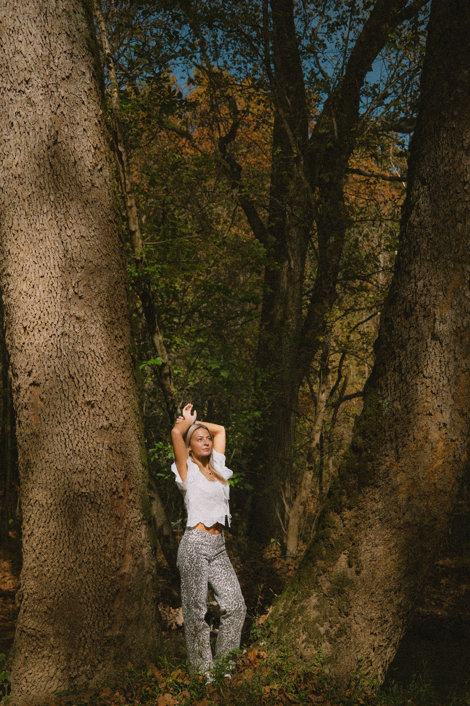 A series of dynamic movements captured against large tree trunks in an autumn forest setting.