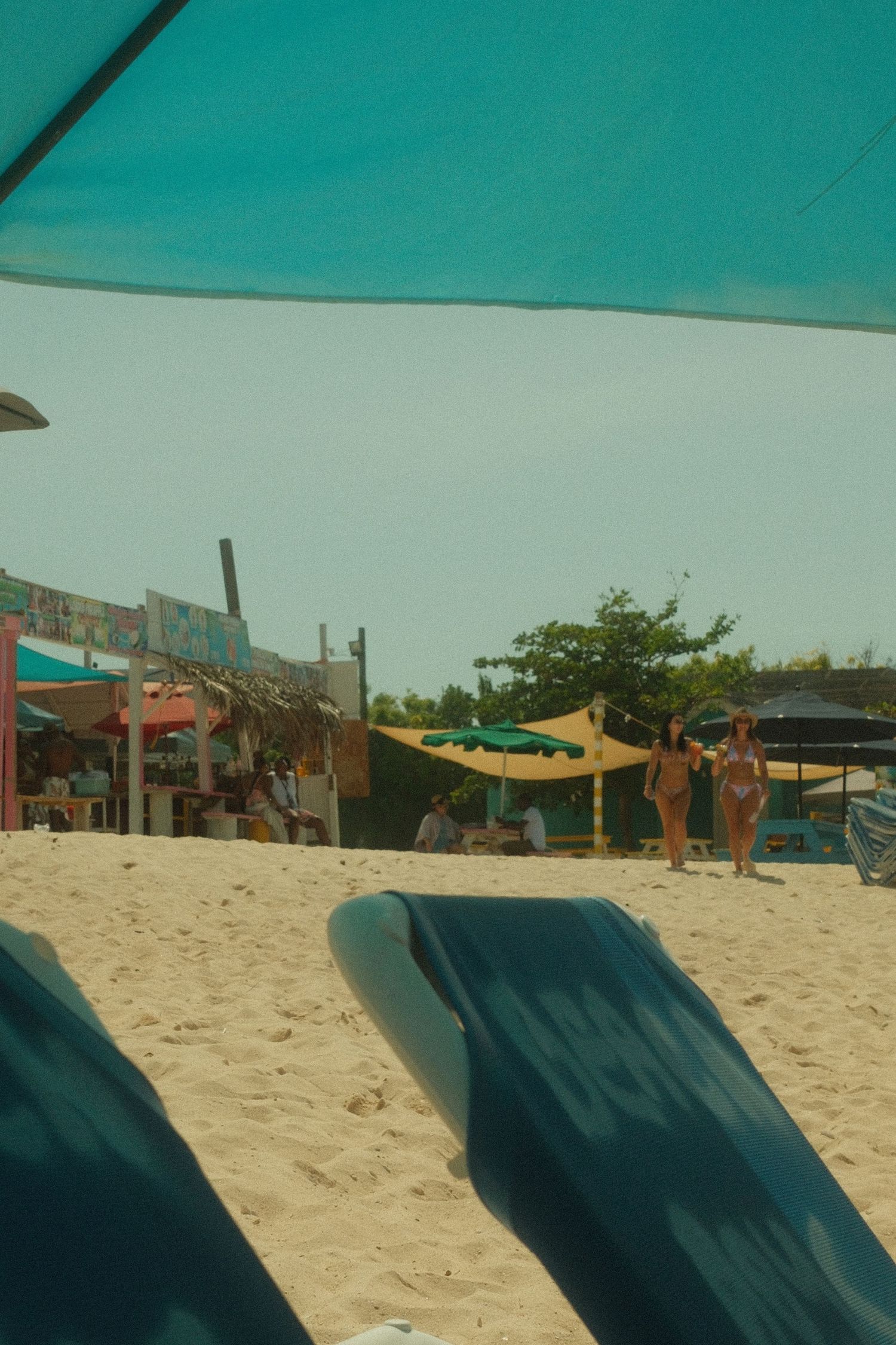 Beach lounge chairs with turquoise umbrellas line a sandy shore on a sunny day with buildings in the background.