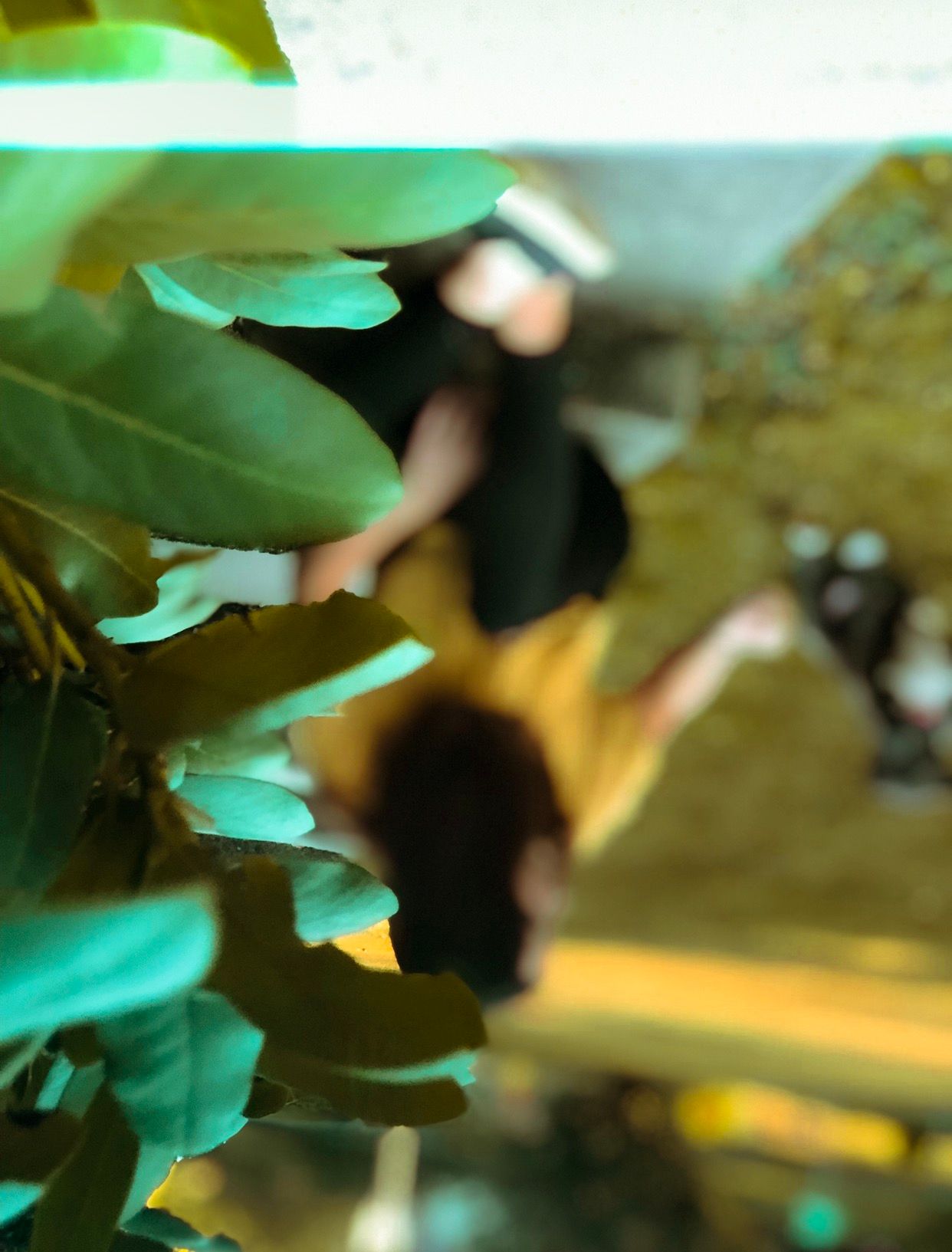 Abstract blurred image with green leaves and dark shapes creating an artistic composition against a warm background.