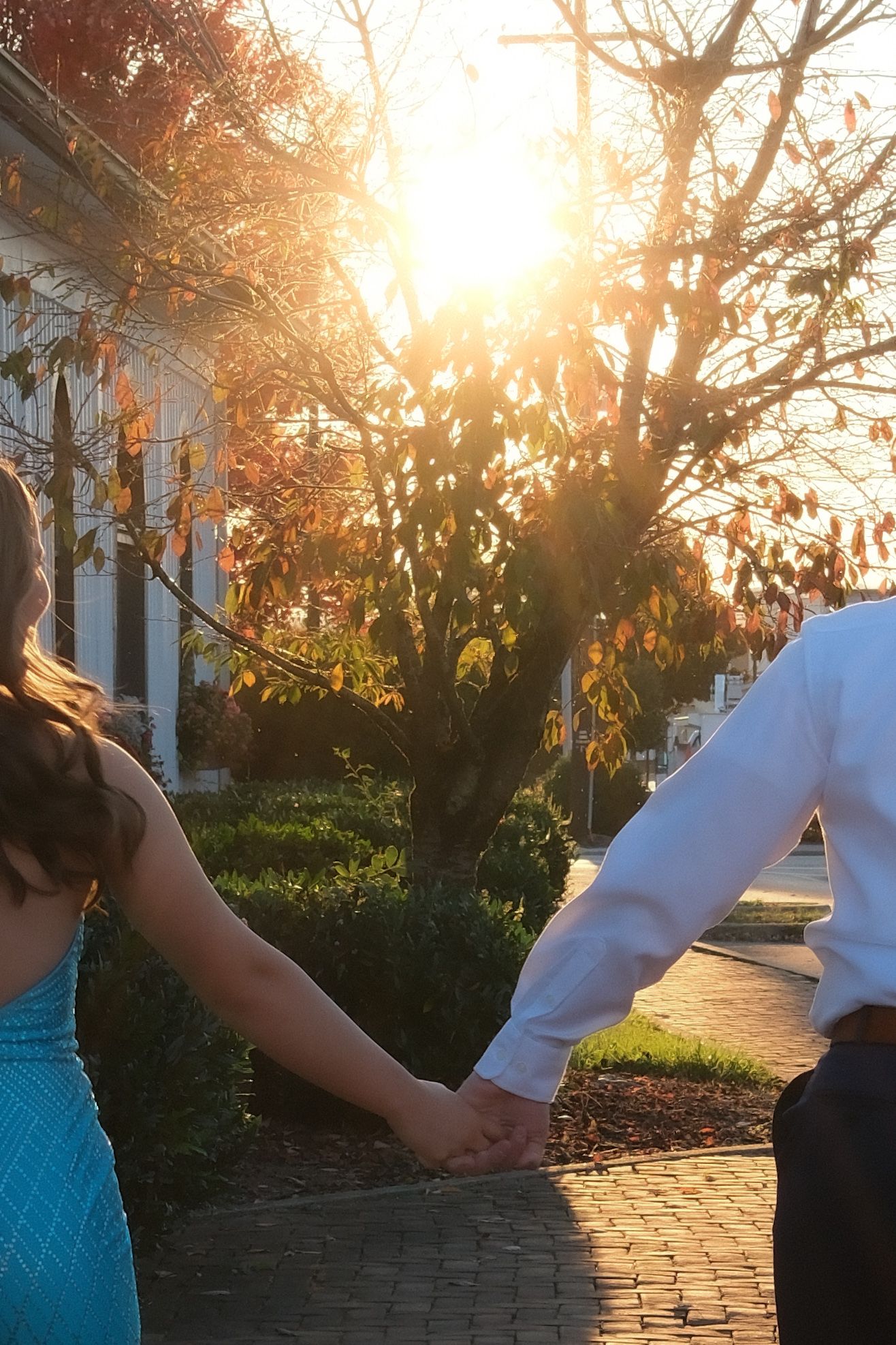 Two people hold hands against a golden sunset backdrop with trees silhouetted in the background.