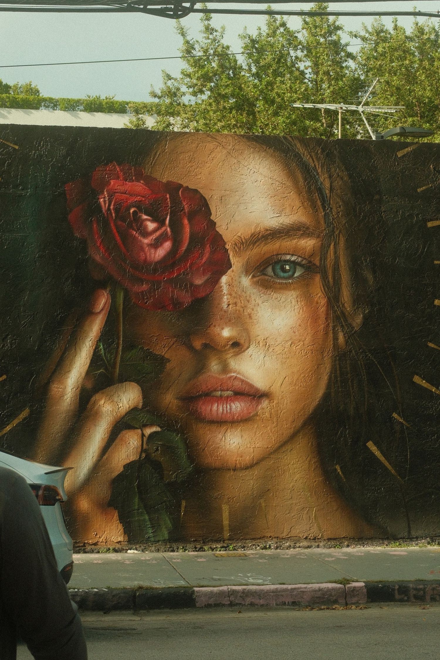 Large artistic mural on a wall features vibrant red roses and soft lighting effects.