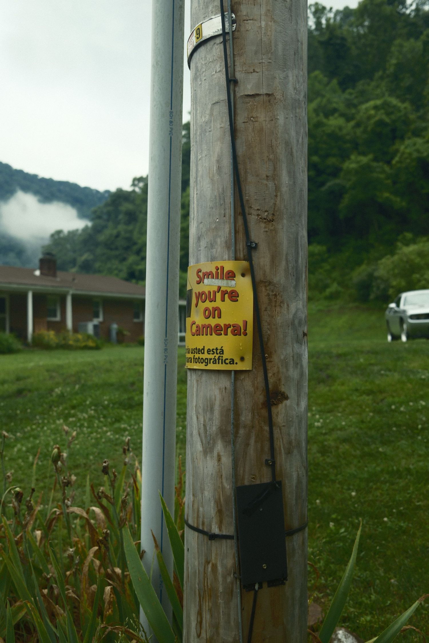 Three wooden utility poles with yellow warning signs mounted on them stand in a grassy rural field with trees in background.