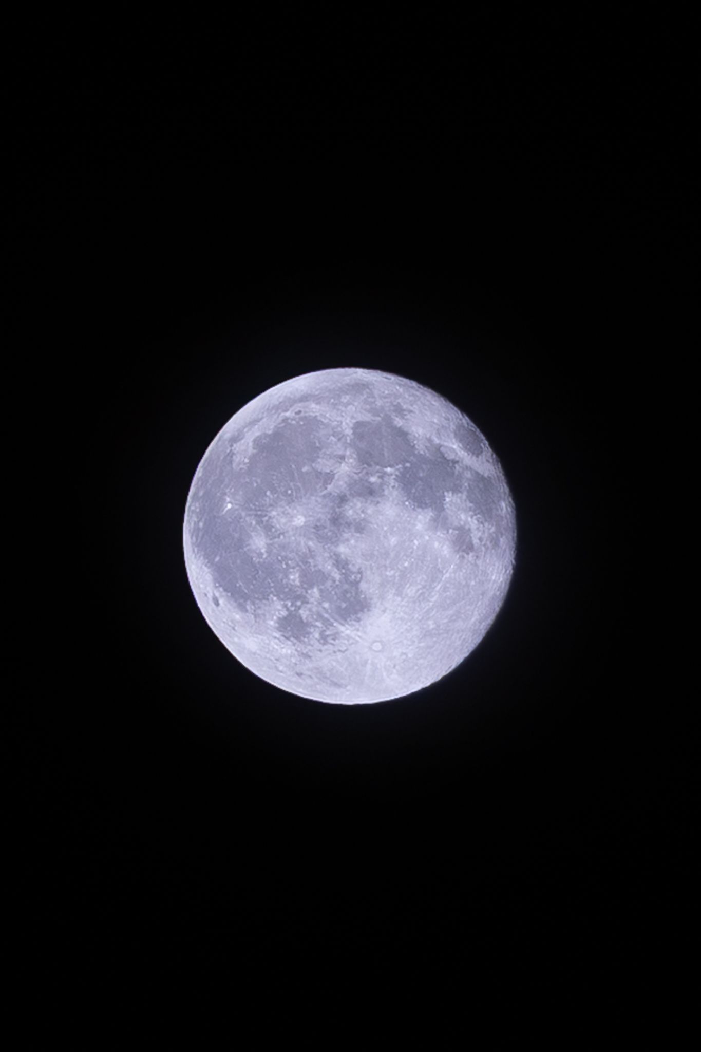 Detailed full moon photographed against a dark night sky showing lunar surface craters.