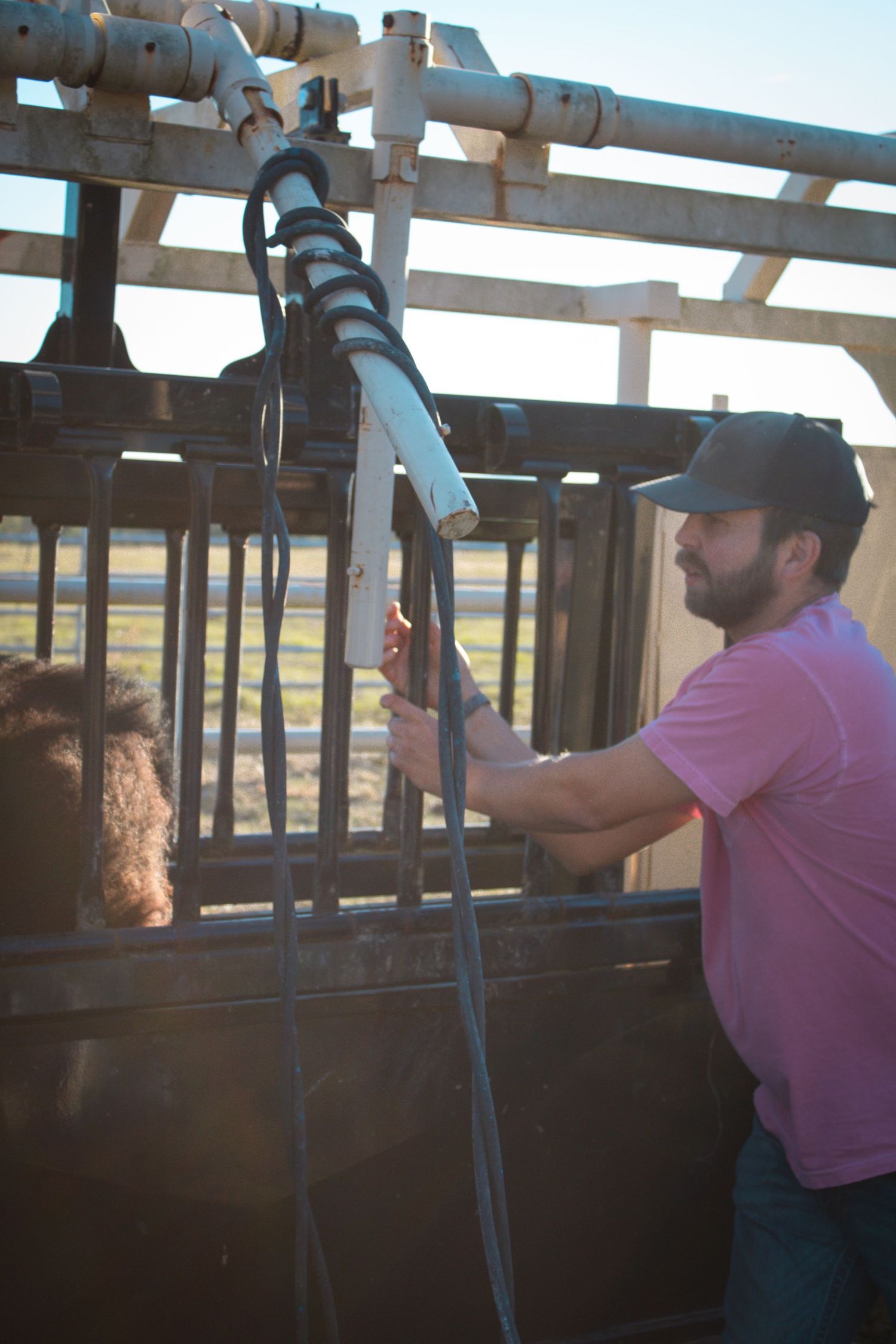 Person in pink shirt aiming through a scope or viewing device mounted on a railing in outdoor setting.