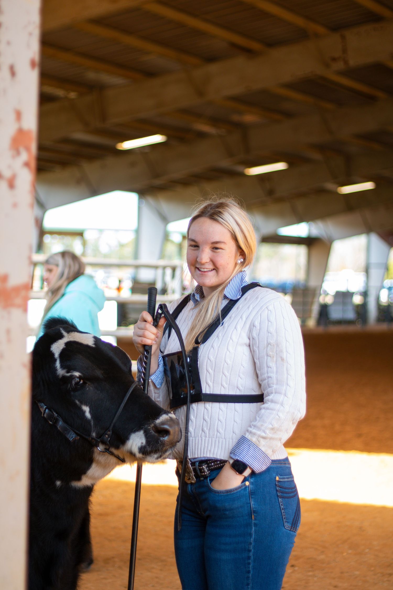A person in a white sweater and jeans stands with a black cow in an indoor arena with sunlit concrete pillars.