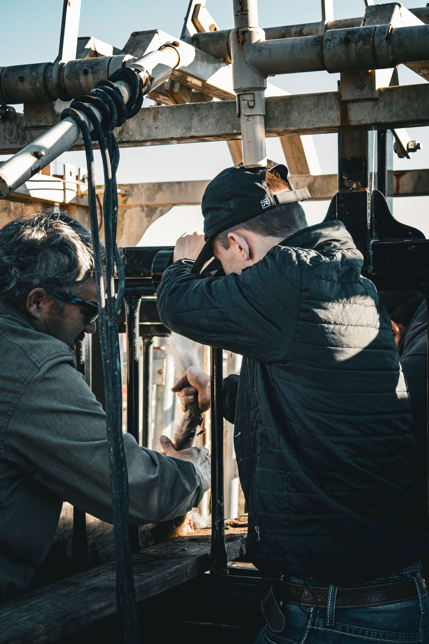 Multiple sequential shots show a person operating a camera while looking through the viewfinder in a dark interior setting.