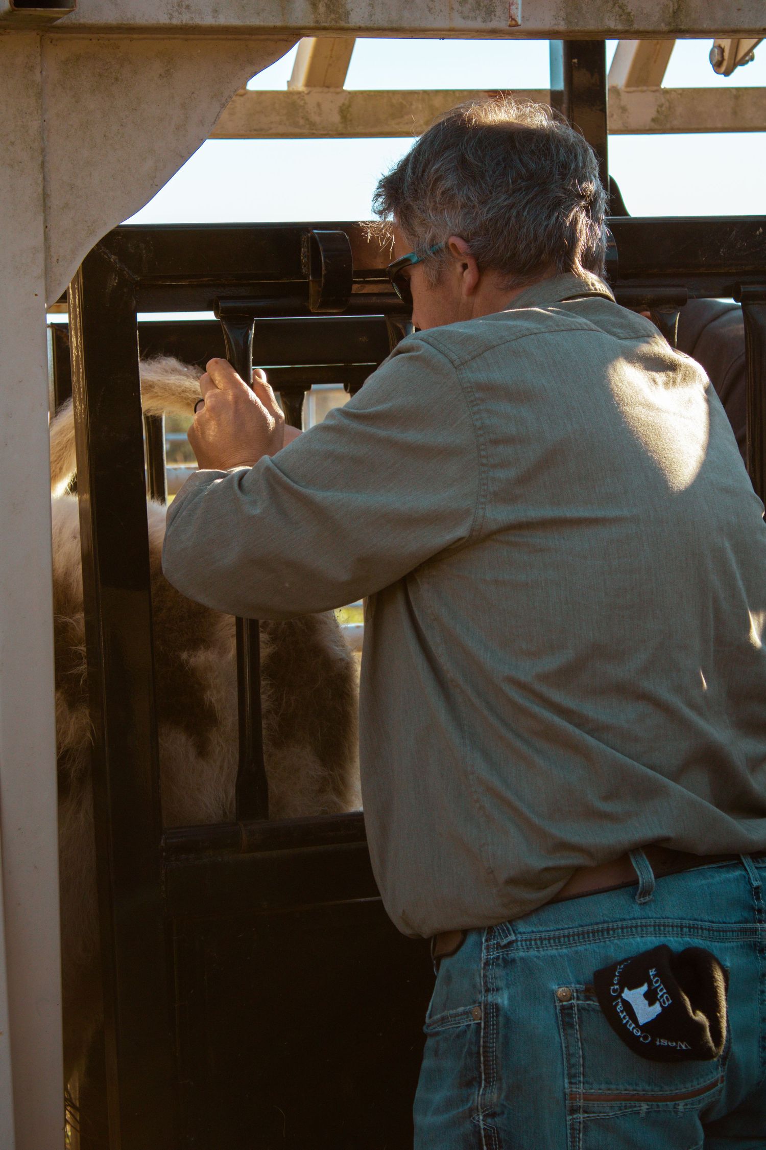 Person in light blue shirt and jeans aims a rifle at a shooting range from multiple angles.