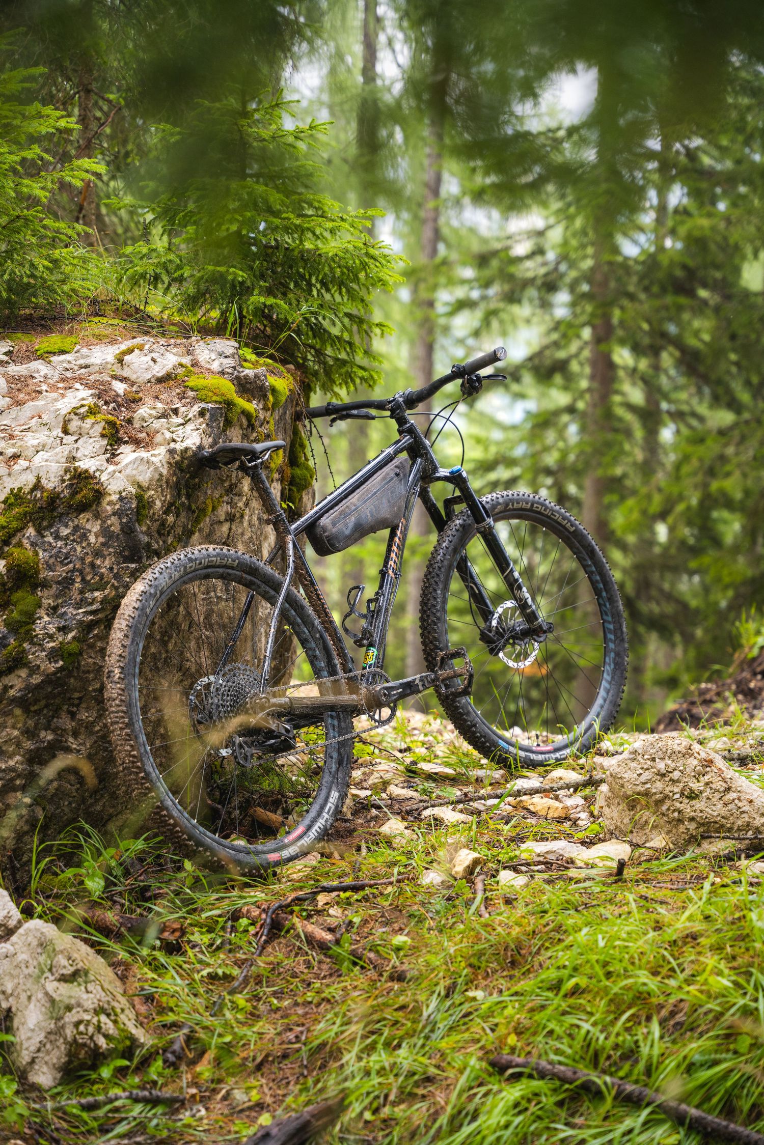 Black mountain bike resting on mossy forest ground surrounded by lush green vegetation and rocks.