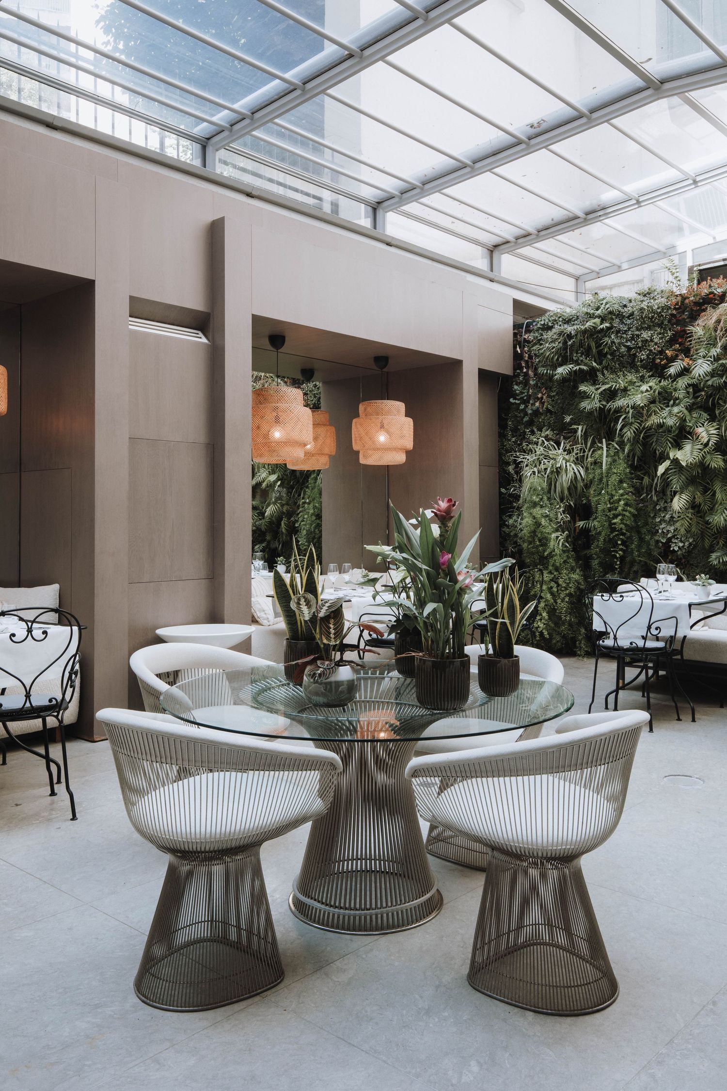 Modern dining area with Platner-style wire chairs and glass table under a glass ceiling with tropical plants and pendant lights.
