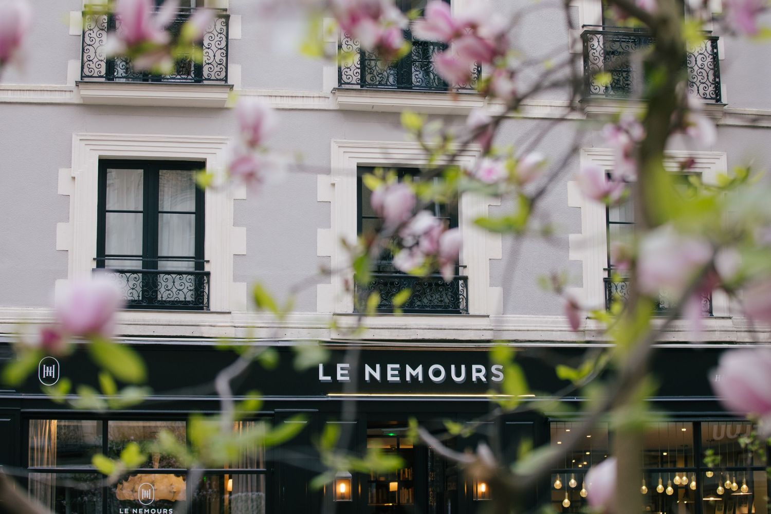 Pink cherry blossoms frame a view of classic Parisian architecture with white stone buildings and ornate balconies.