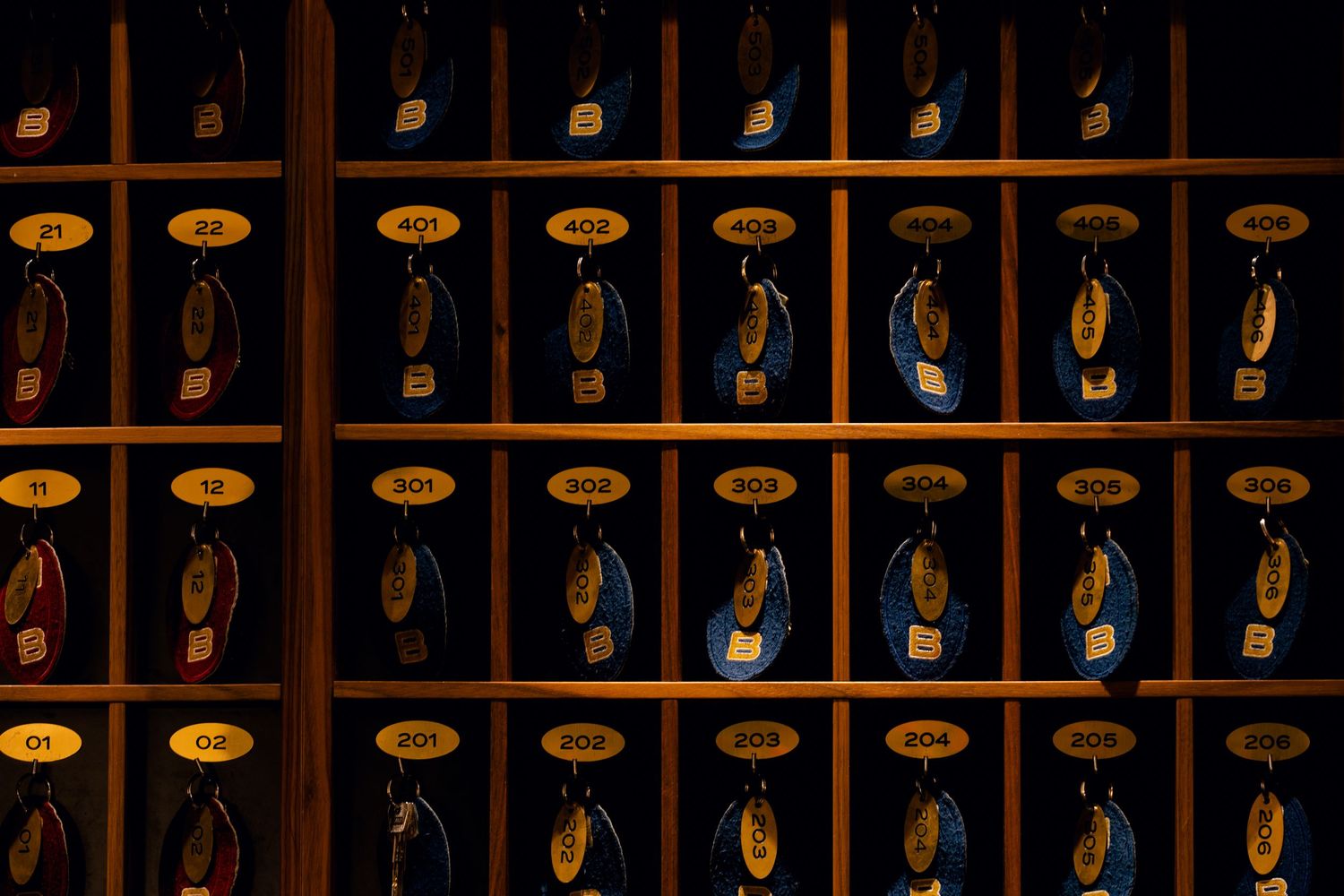 A dark wooden wall display with rows of illuminated stringed instruments mounted in individual compartments.