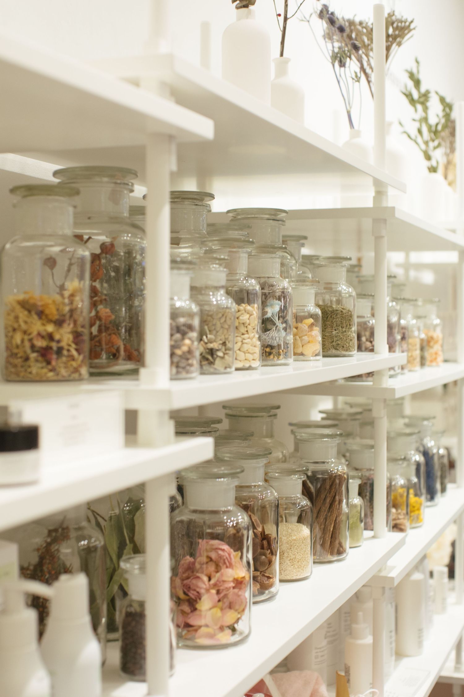 Glass specimen jars containing preserved specimens line white shelves in a scientific laboratory or museum collection.