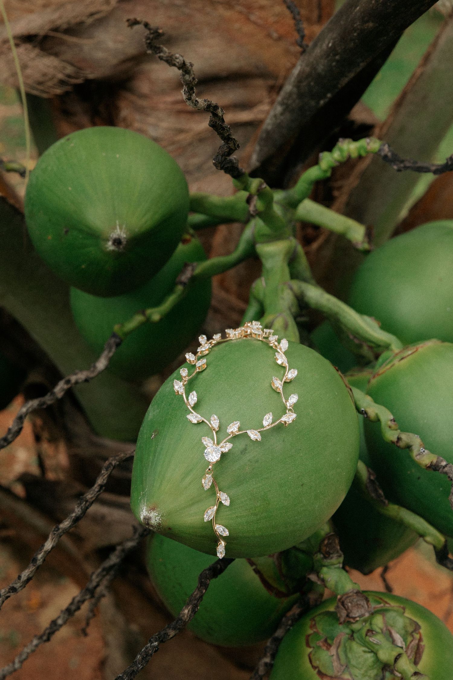 Delicate diamond vine ring resting on green coconuts growing on a tropical palm tree.