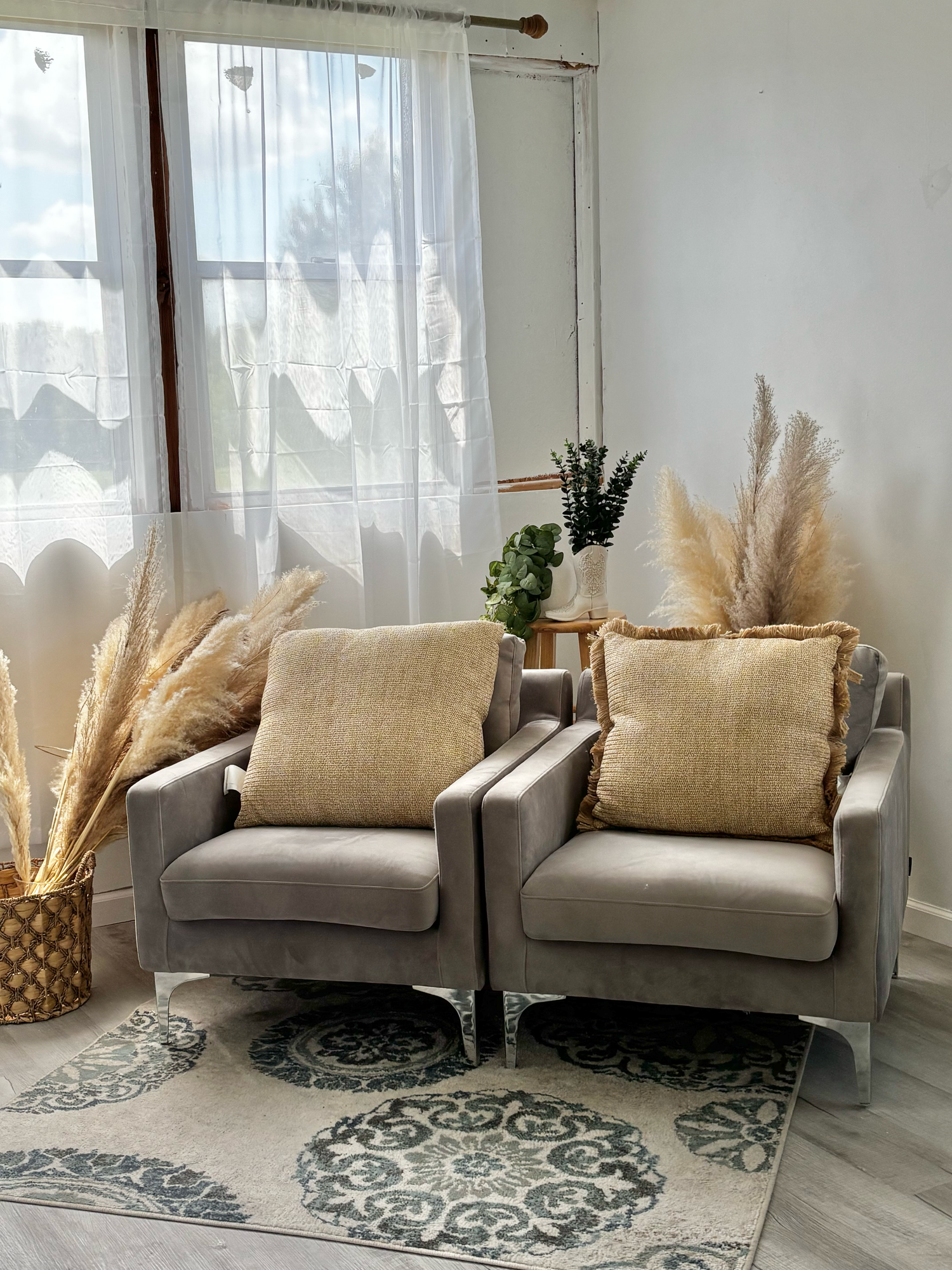 Two gray velvet accent chairs with beige pillows on a patterned rug, flanked by pampas grass decor near a bright window.