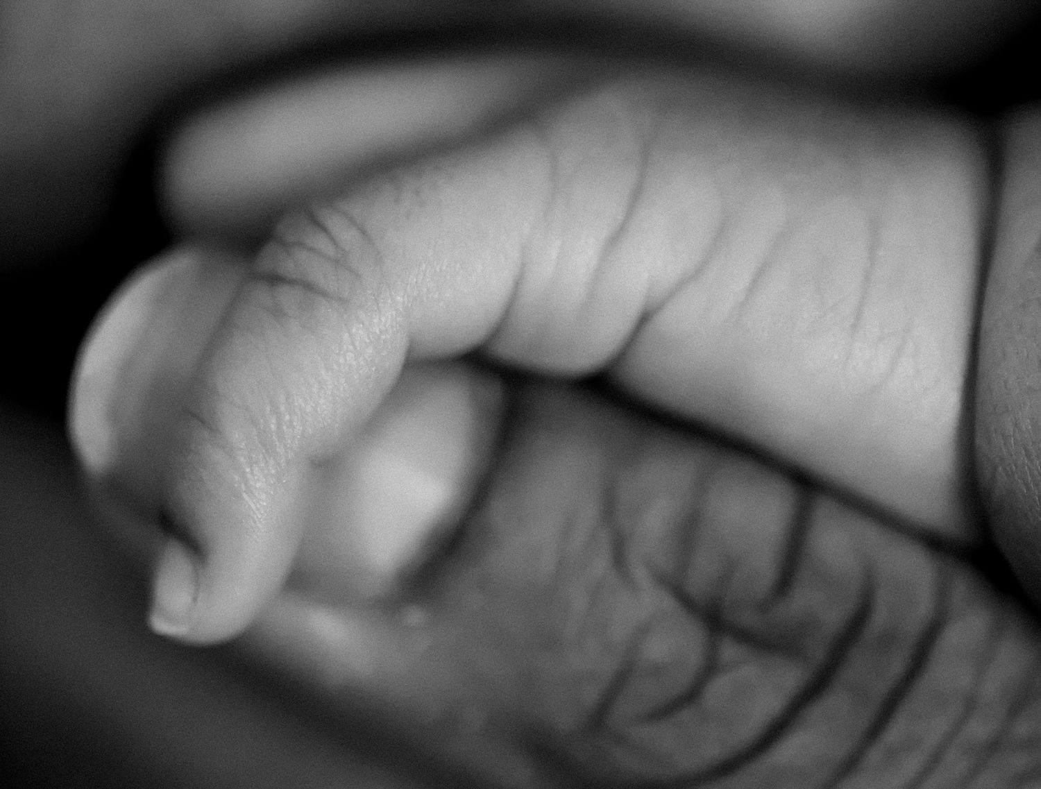 A black and white macro photograph captures a tiny baby's hand in soft focus with gentle lighting.