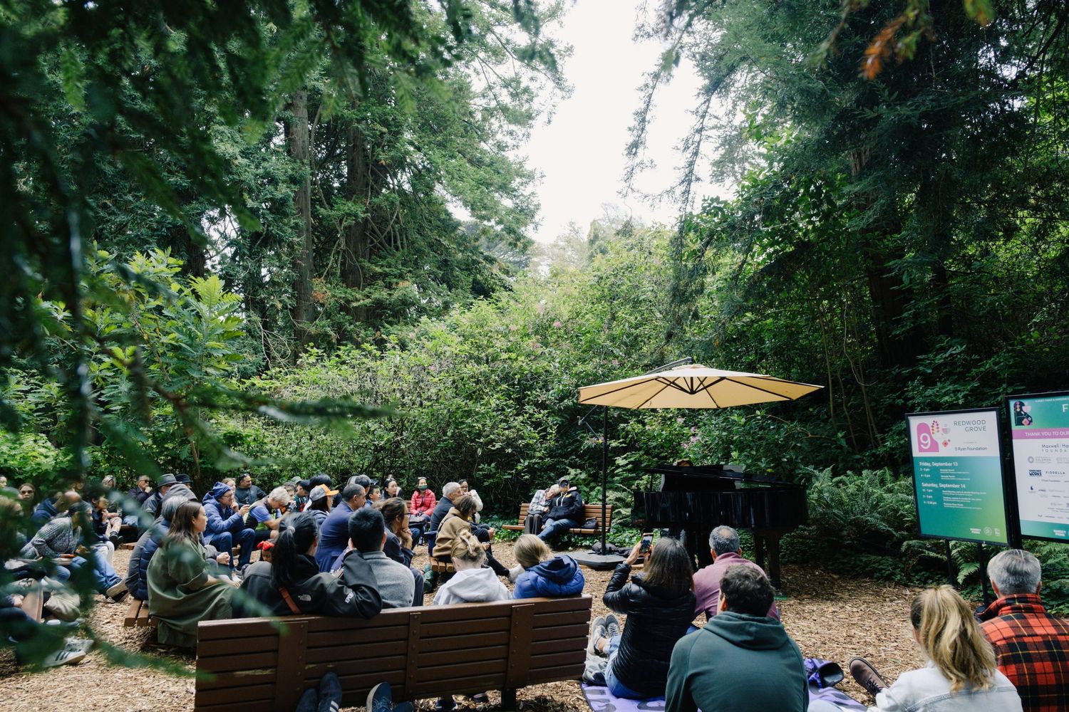 Outdoor event space with trees and scattered seating under natural shade.
