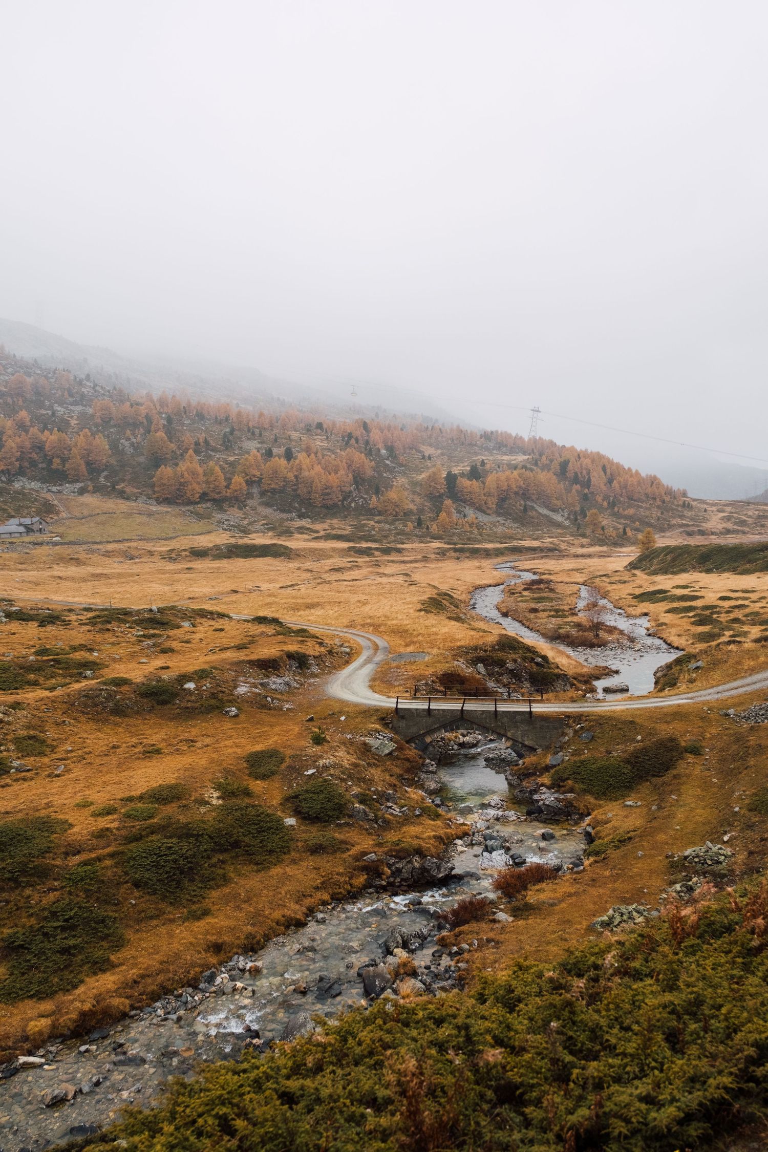 Panoramic view of a winding mountain road through autumn colored hills and rocky terrain.