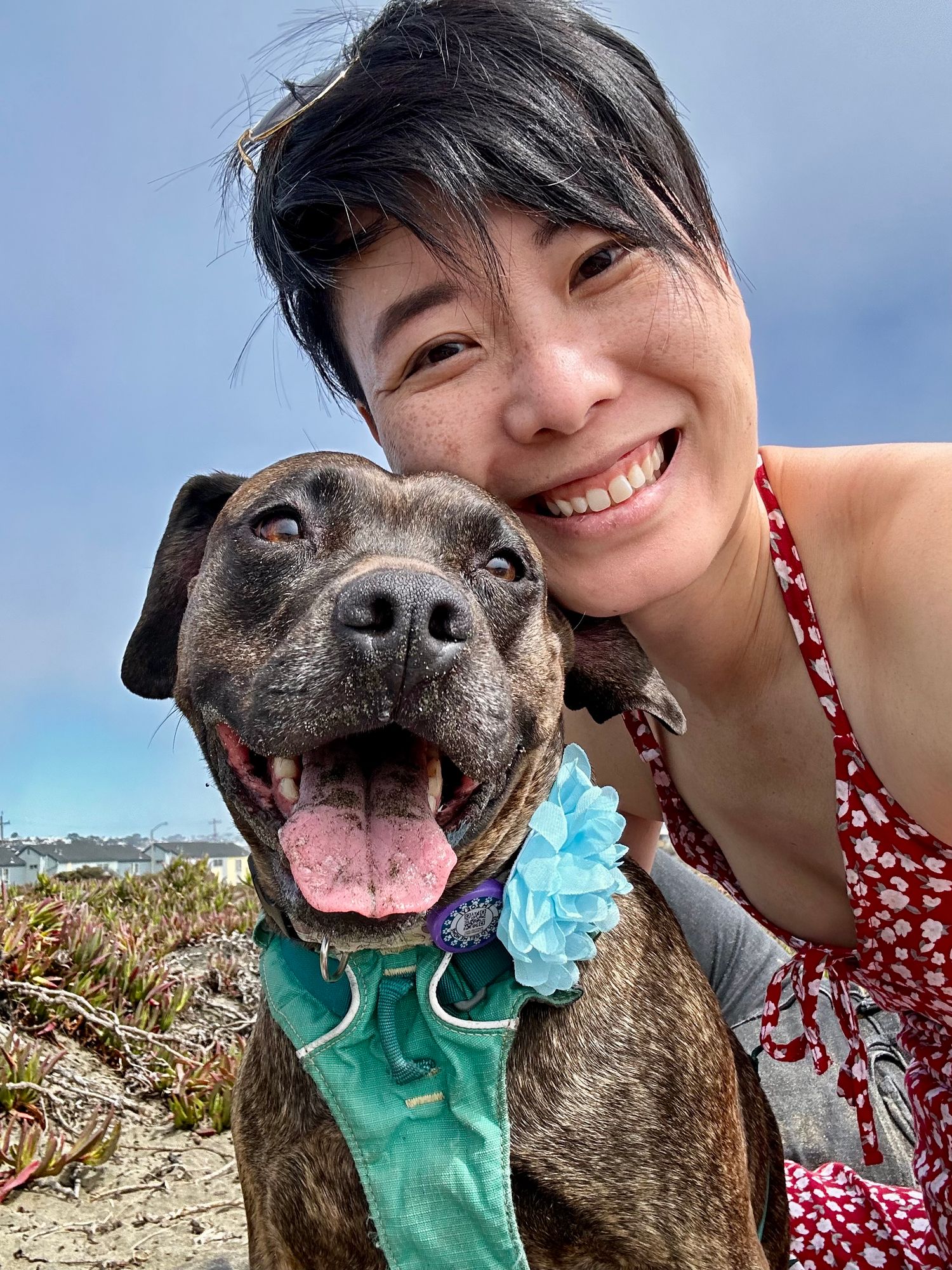A smiling woman takes a selfie with a happy brindle dog wearing a teal bandana at a sunny beach.