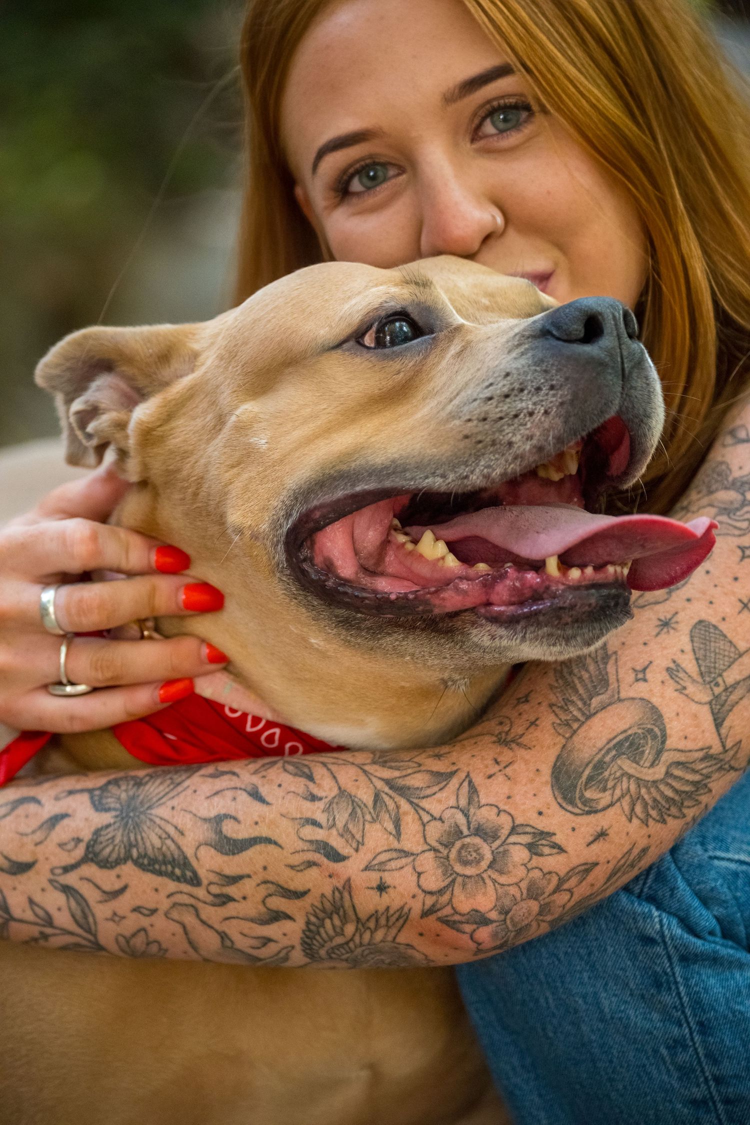 A happy pit bull with a wide smile being hugged by someone with a tattooed arm wearing denim.