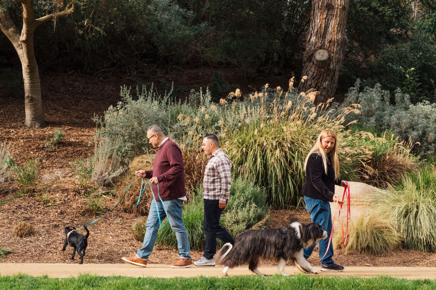 Dog trainer & behaviorist lifestyle session, outdoors in SF Golden Gate Park, taken by professional personal brand & pet photographer