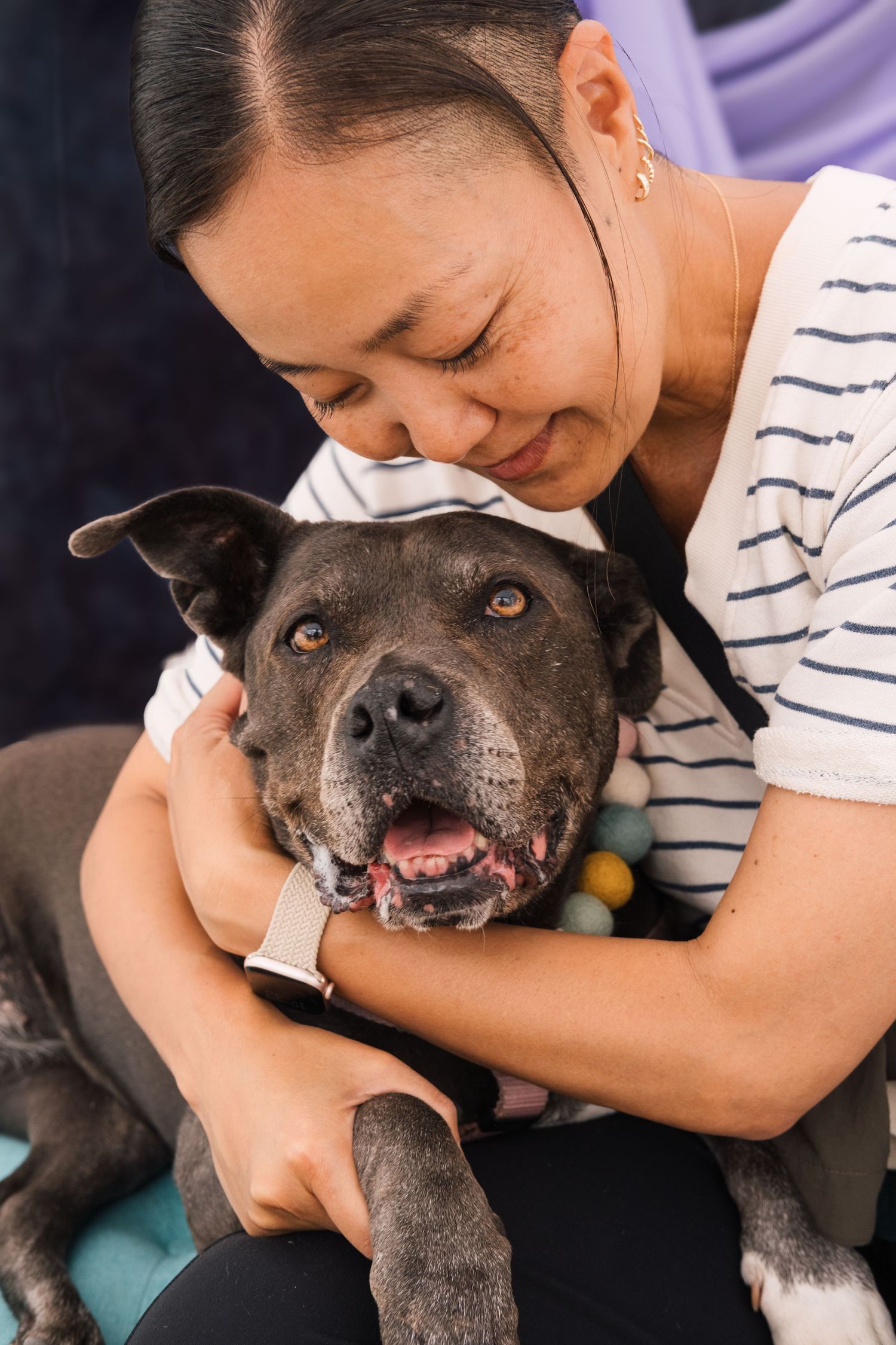 A woman in a striped shirt lovingly embraces a gray senior pit bull dog, sharing a tender moment together.