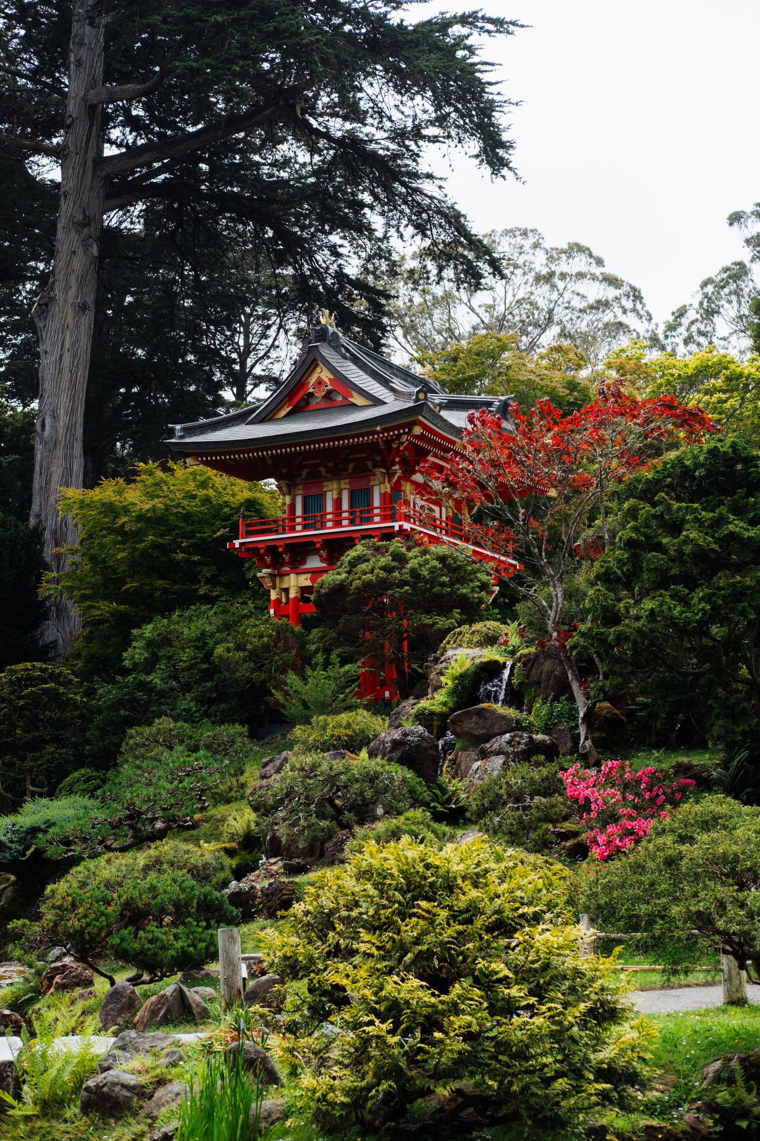 Japanese Tea Garden in San Francisco features a traditional red pagoda surrounded by lush greenery and colorful blooms.