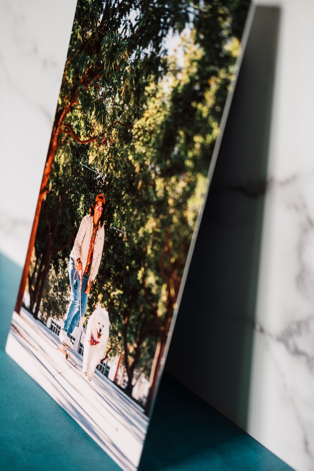 Photo canvas print of a person walking a white dog under green trees, displayed on a teal surface.