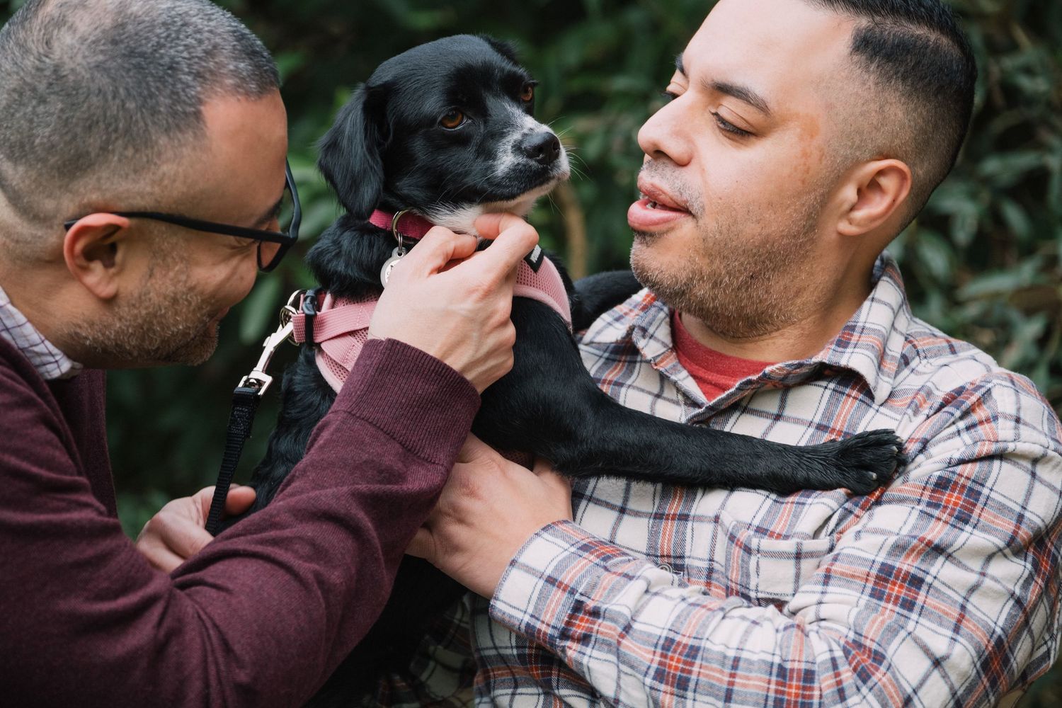 Small black dog with owners, outside in San Francisco's Golden Gate Park, taken by professional pet photographer Jenn Chen.