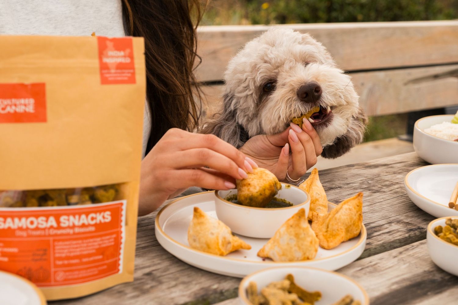 A dog looks at samosas and other snacks laid out on a rustic wooden table outdoors.