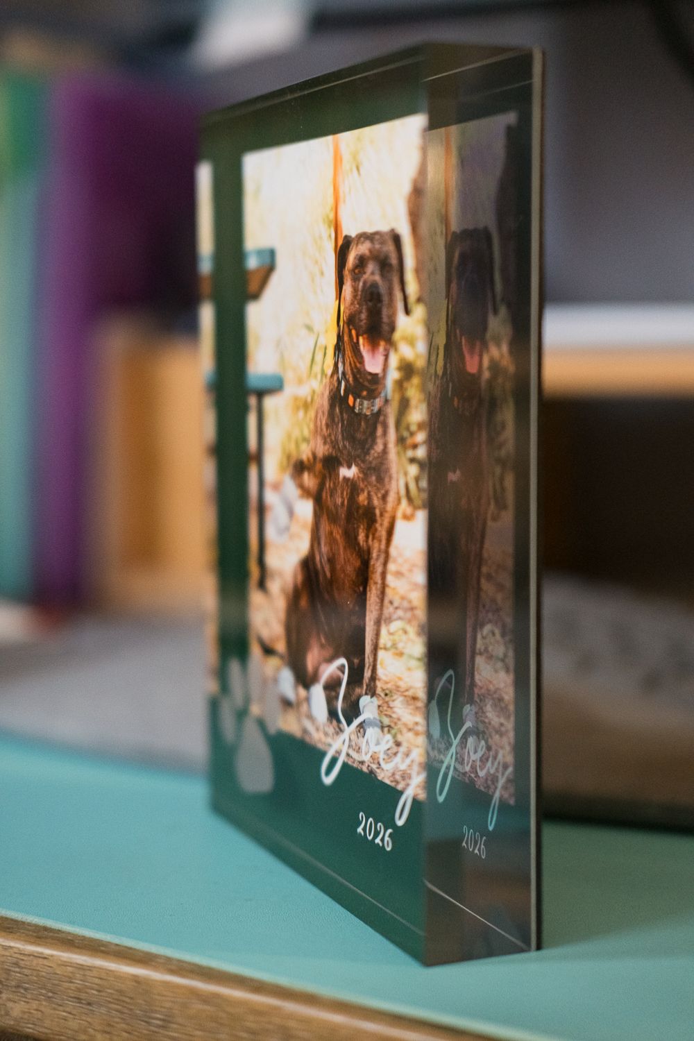 A series of green photo frames showing a dog portrait displayed at different angles on a wooden surface.