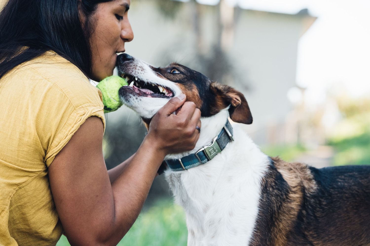 A person in a yellow shirt gives their dog a drink from a water bottle while outdoors.