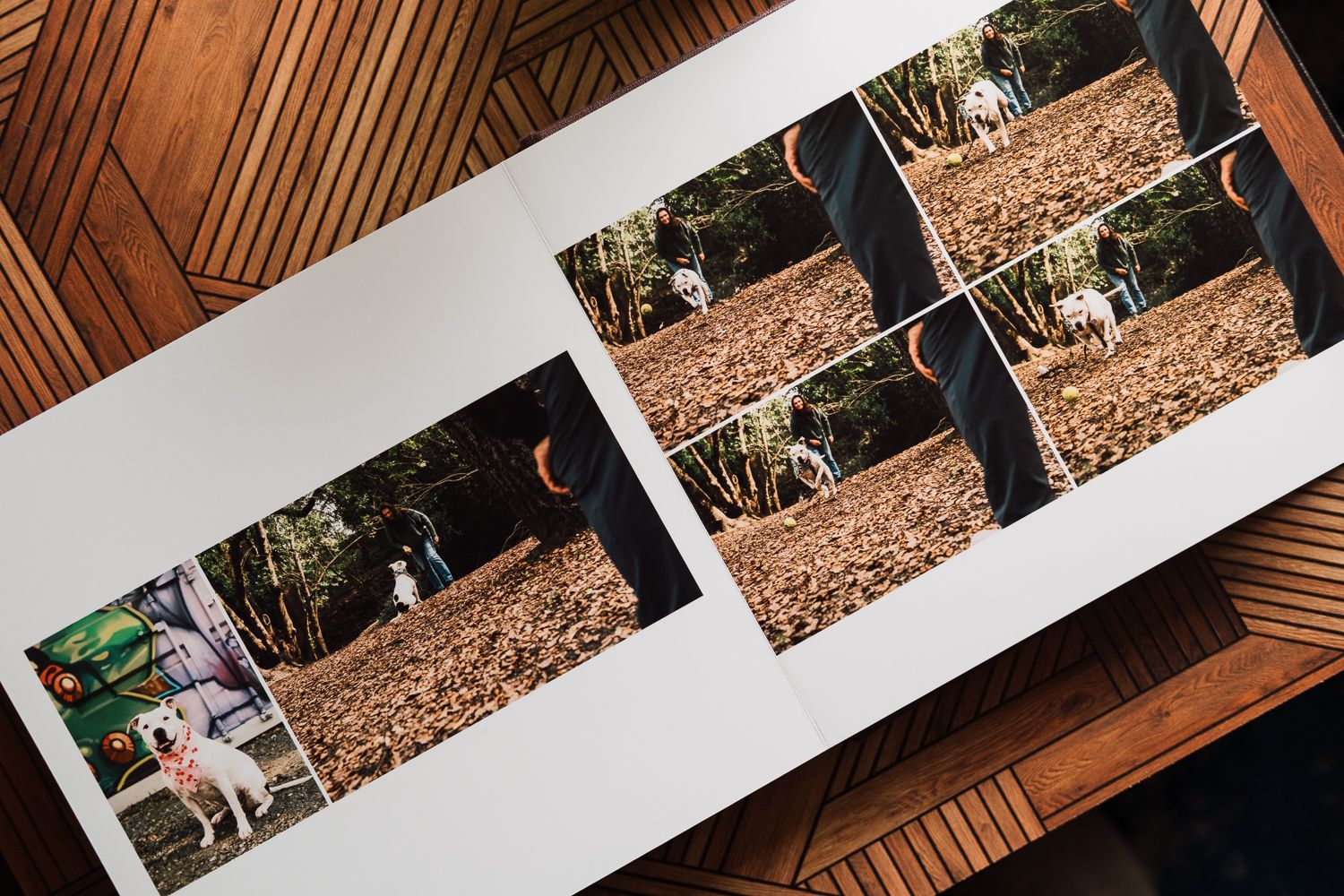 Open photo album displaying multiple images of a white dog playing among autumn leaves in a wooded area.