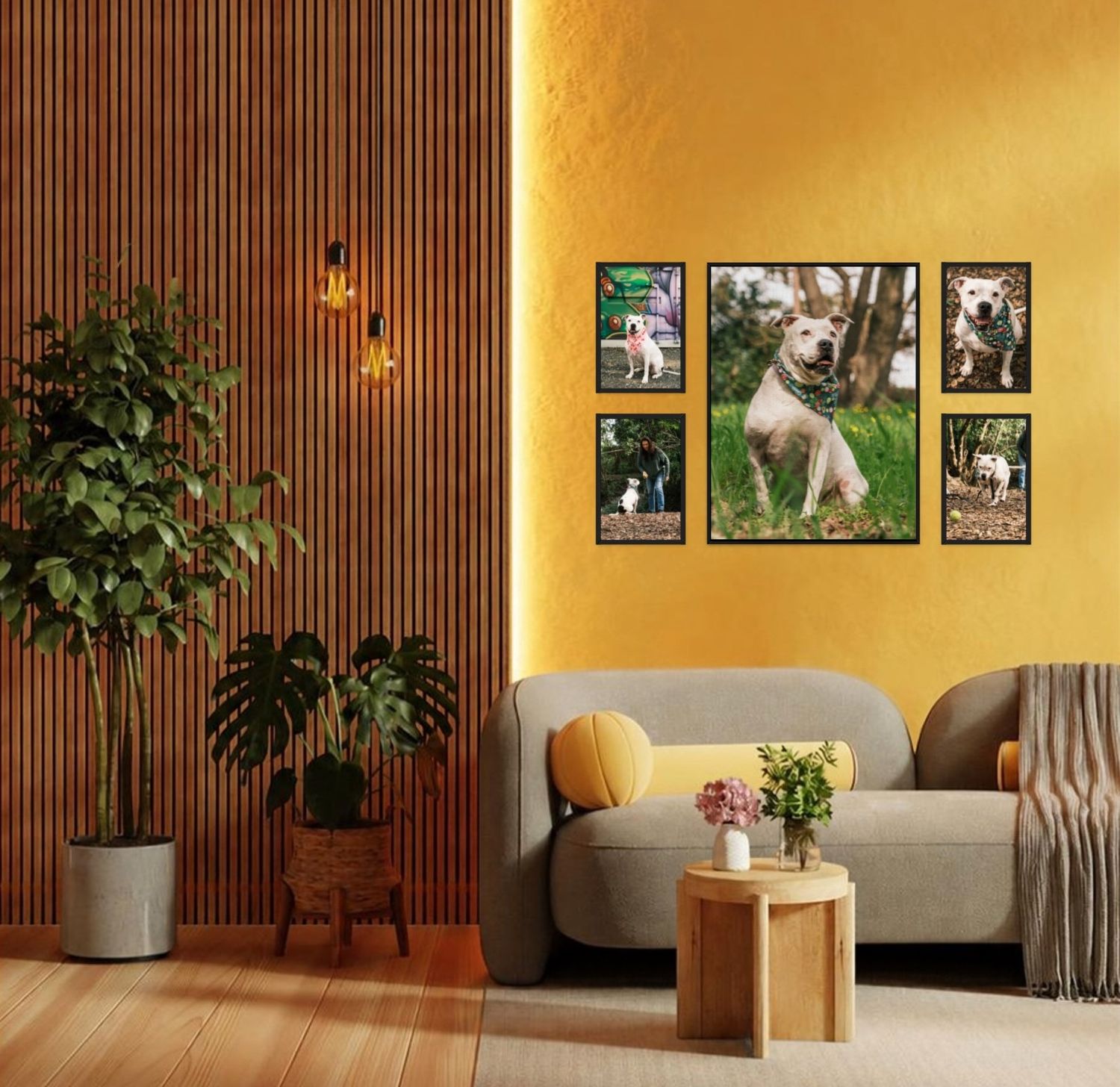 A cozy living room with yellow walls featuring a gallery wall of framed dog photos above a gray sofa with wood decor.