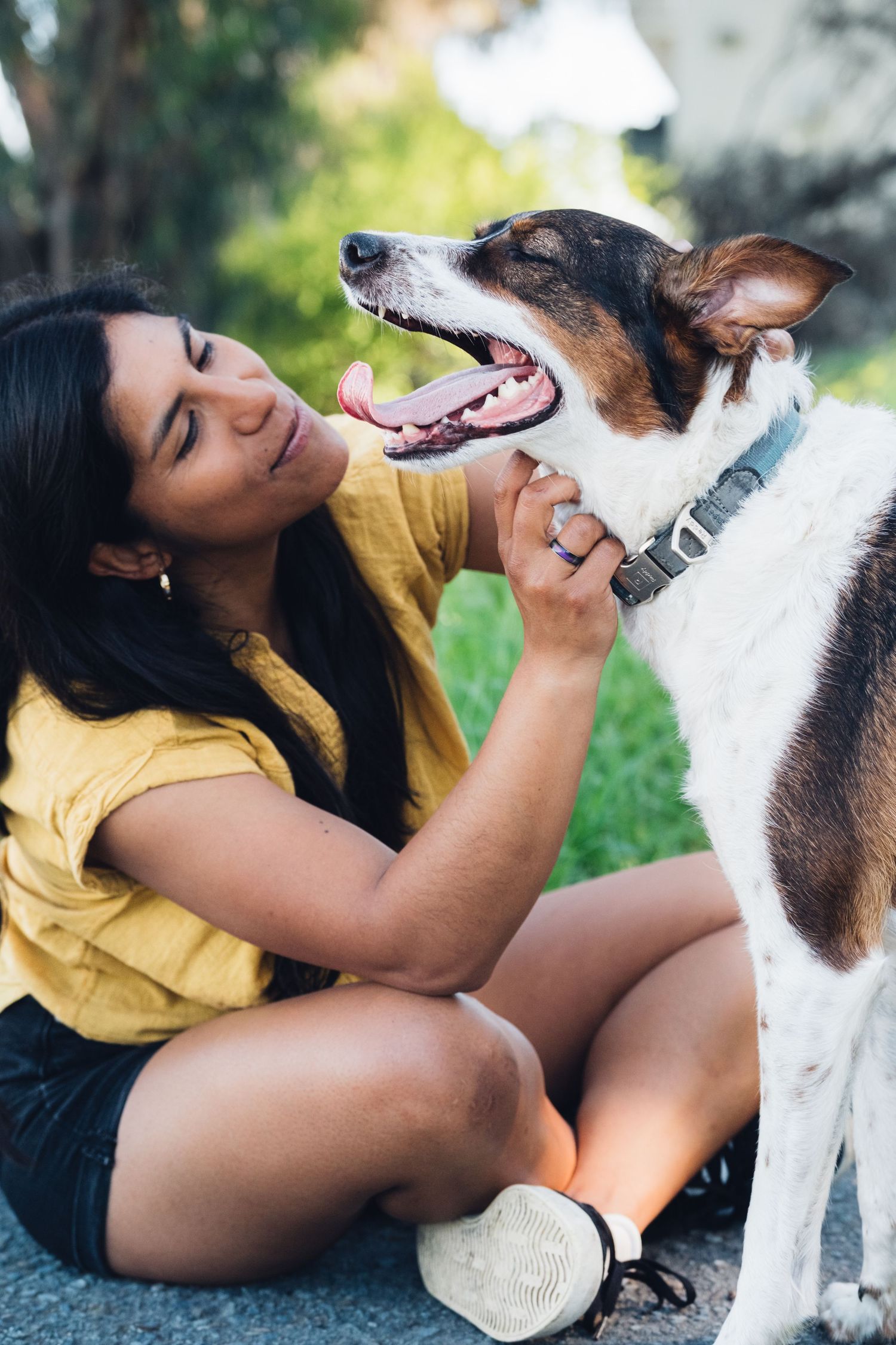 A dog and person share a joyful moment outdoors on a sunny day.