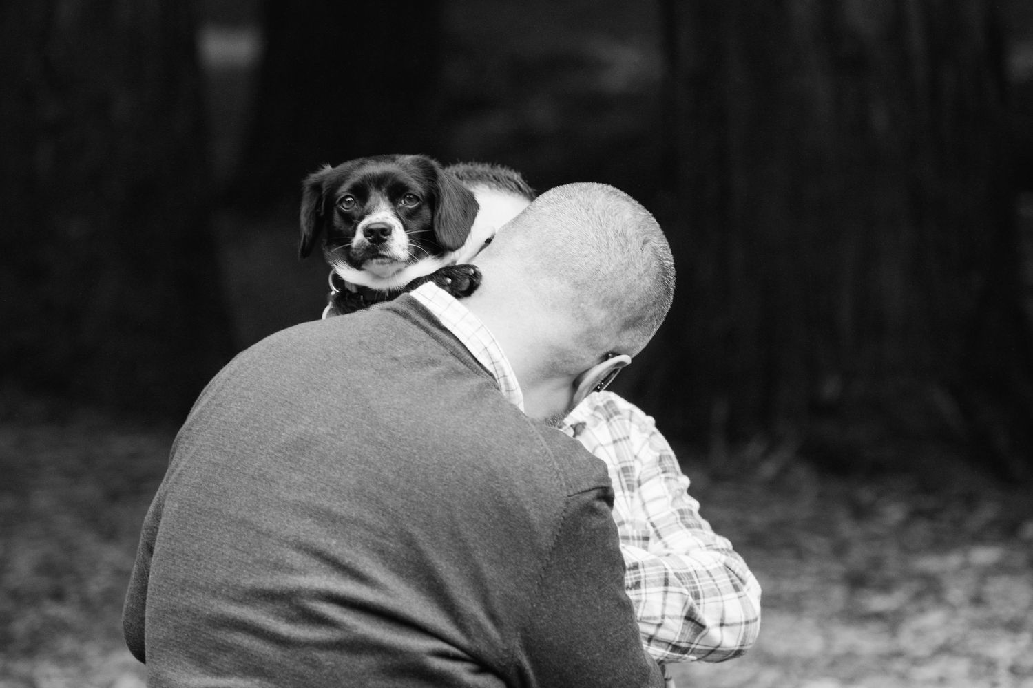 Small black dog in a black and white photo, outside in San Francisco's Golden Gate Park, taken by professional dog photographer Jenn Chen.